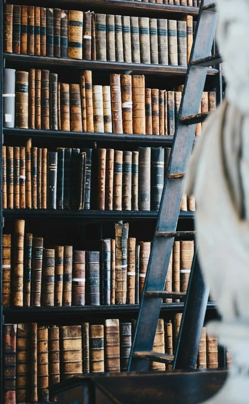 Bookshelves filled with old, leather-bound books and a wooden ladder leaning against them.