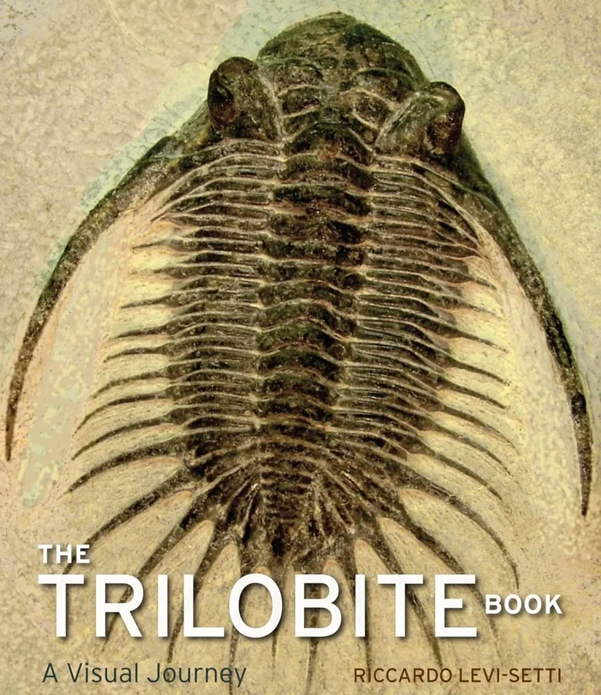 The TRILOBITE Changed how Bible Text is Research|Studied