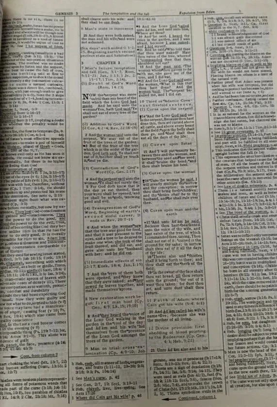A page from the book of Genesis, specifically Genesis 3, discussing topics such as temptation, the fall of man, and curses from God.