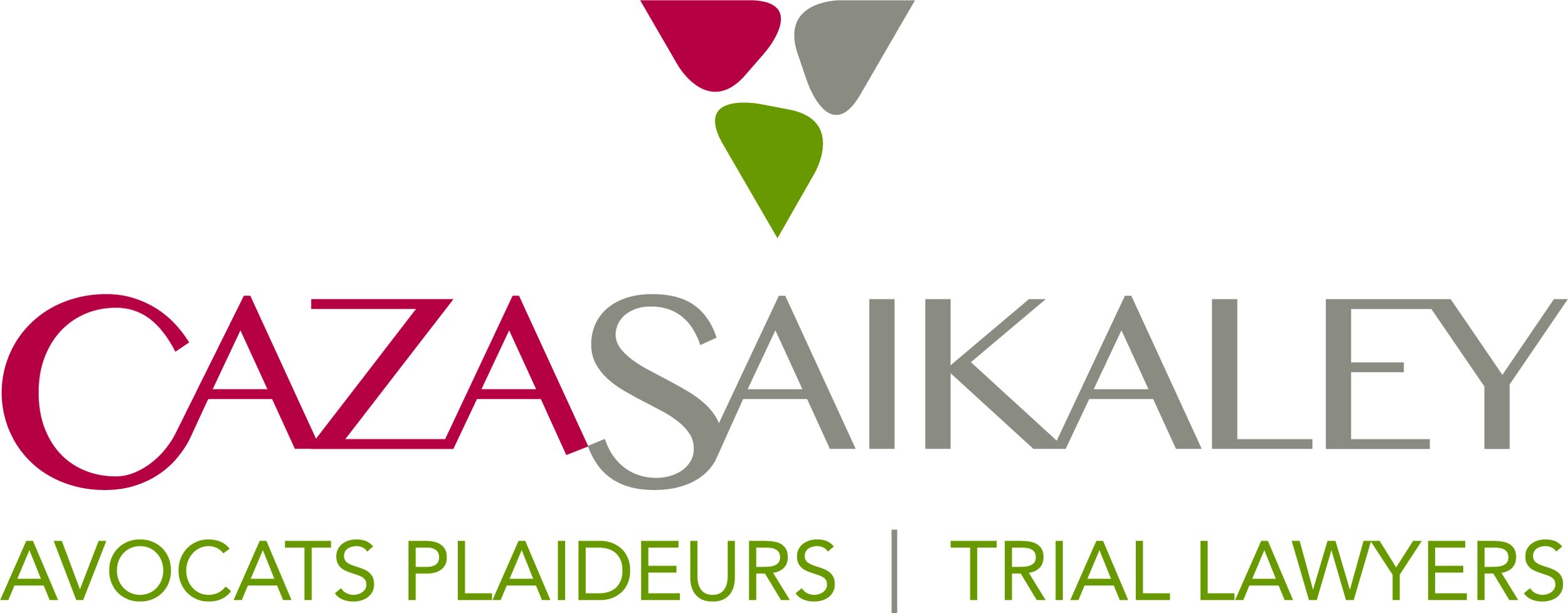 CazaSaikley_CMYK_vertical.jpg