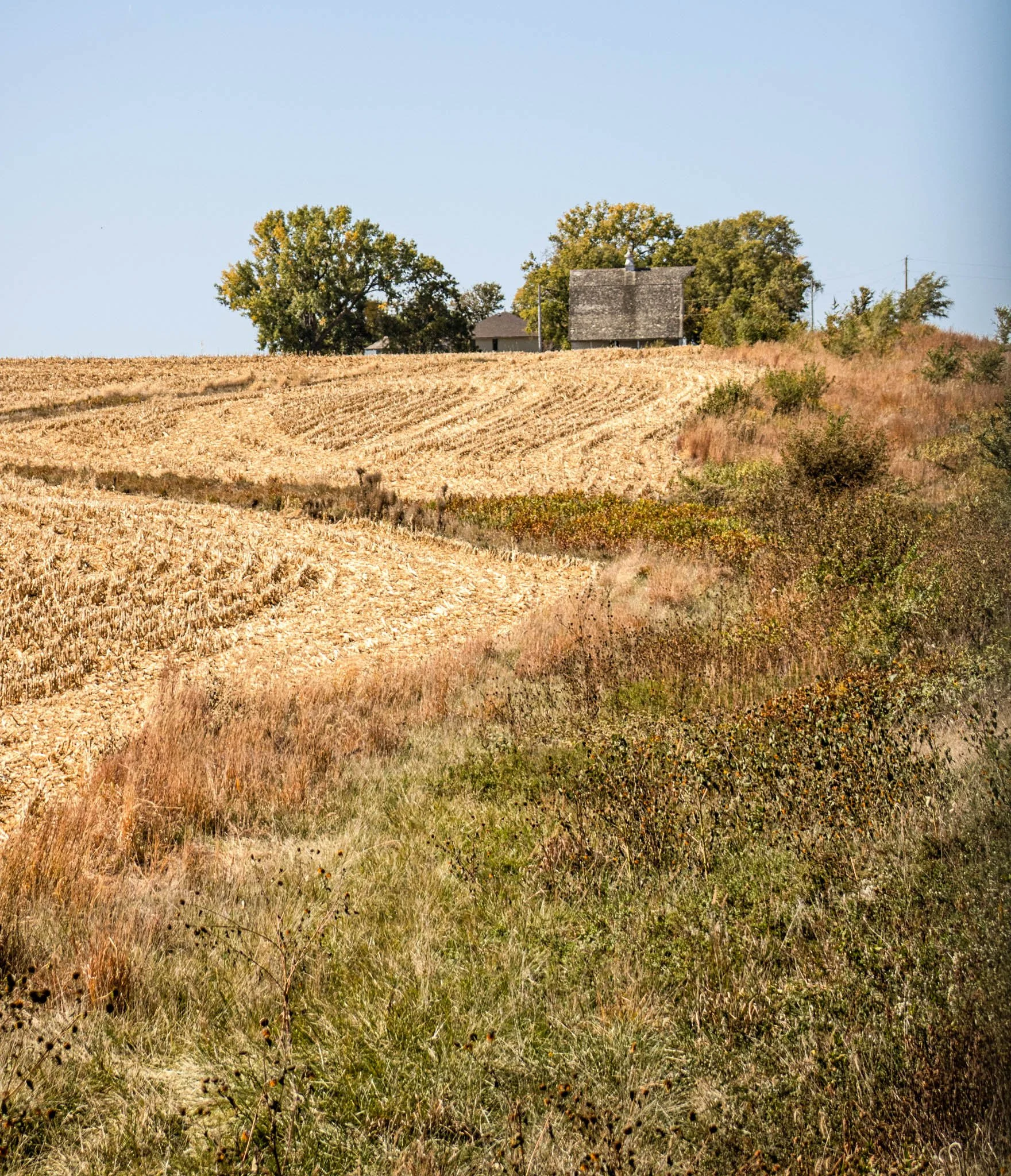 Landscape