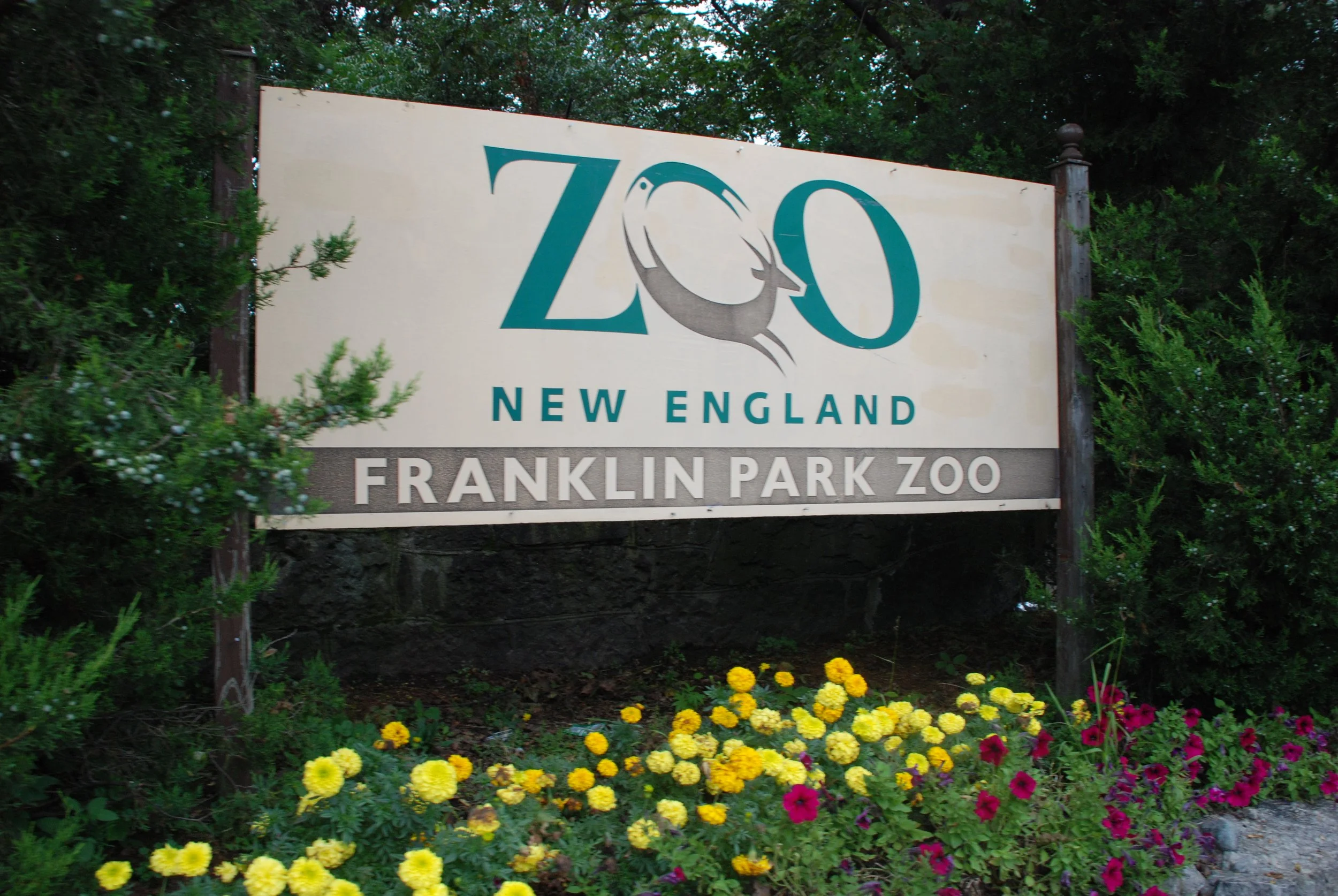 Grades 3-7 at the Franklin Park Zoo