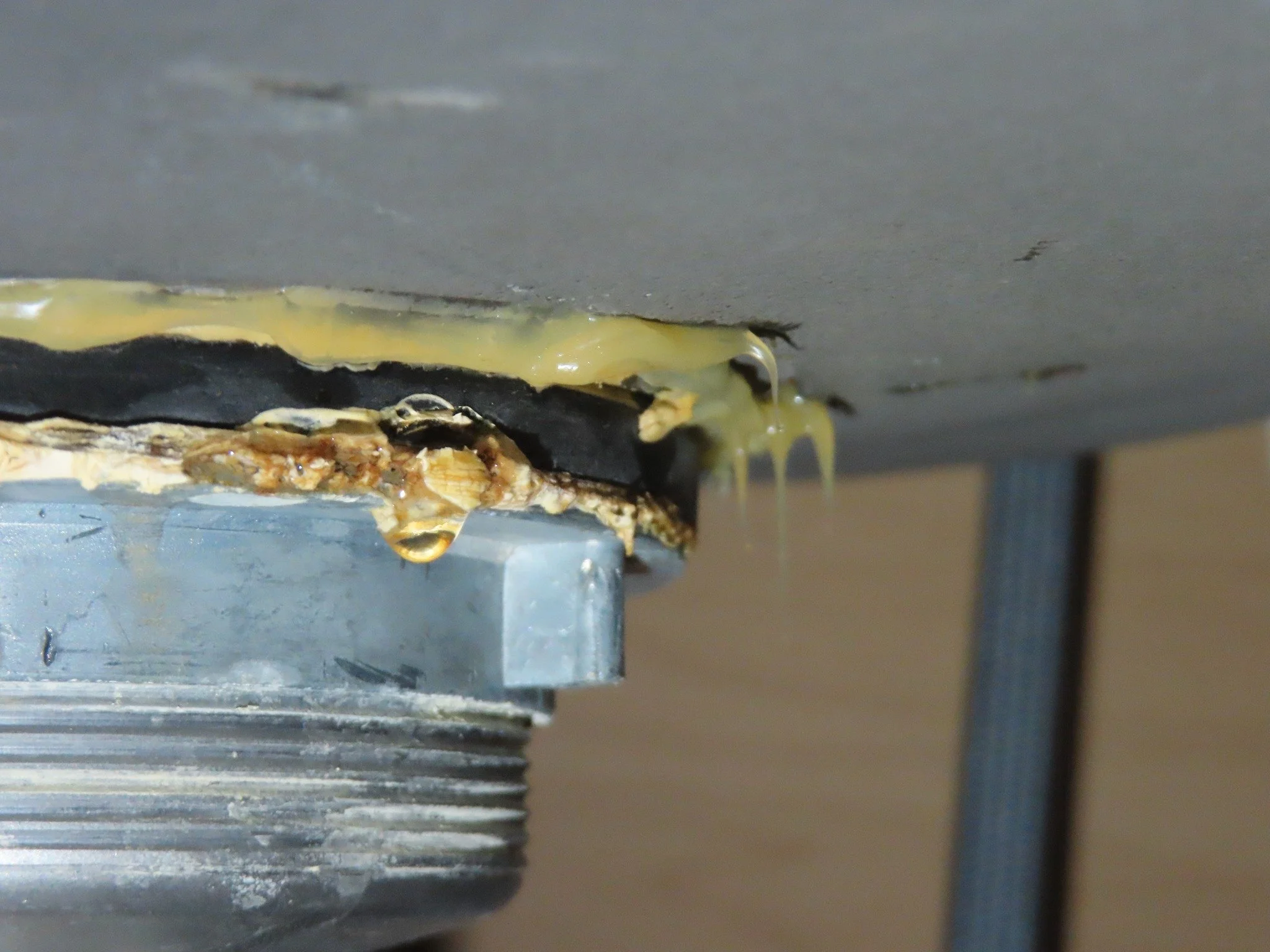 Adventures in Inspections...

They tried to patch it by adding a lot of sealant, but it still leaked.
.
.
 #homeinspectorfinds #newbraunfelshomes #meyerslanding #realeastate #SmartGuard #homeinspections #homeinspectionexperts #HomeInspection #RealEst