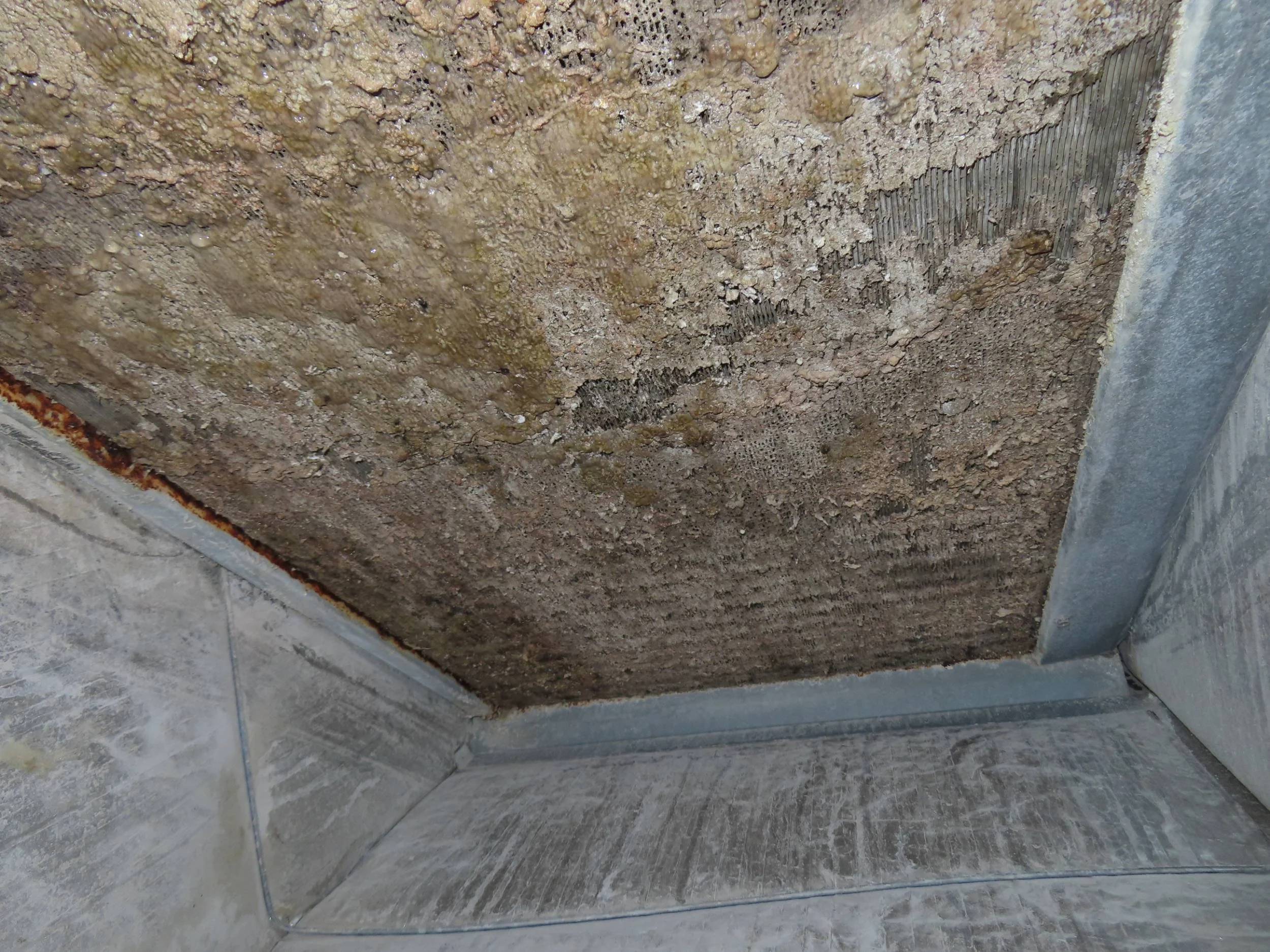 What is it? … Home Edition #2