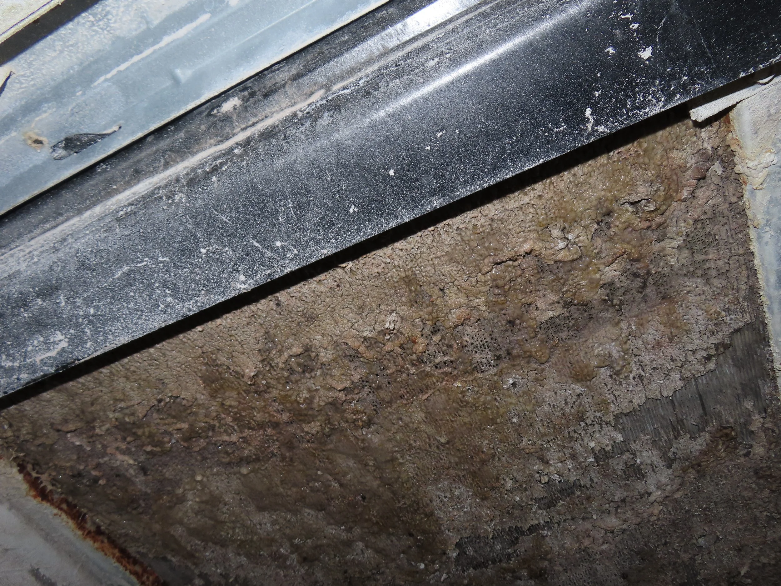A very dirty AC coil