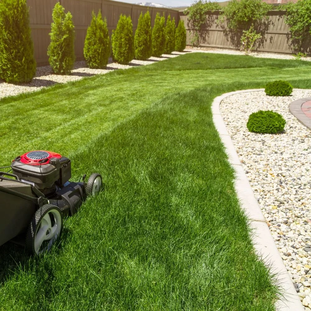 A gardener in orange shirt, green overalls, and orange cap cleans a lawn mower in a garden with trees and shrubs.