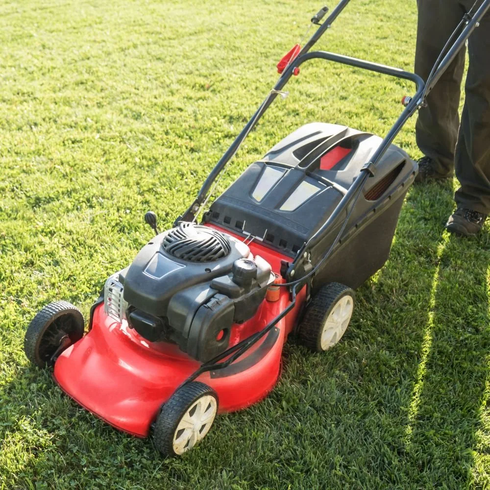 Lawn mower on freshly cut grass in a backyard with sunshine and tall green trees in the background.