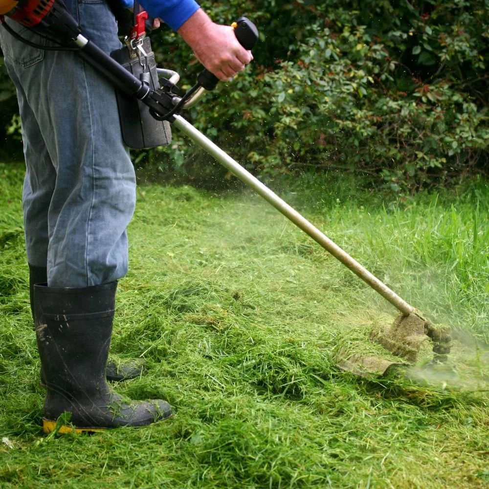 A lawn mower on freshly cut grass in a backyard, with a row of tall green bushes in the background and sunlight shining over the scene.