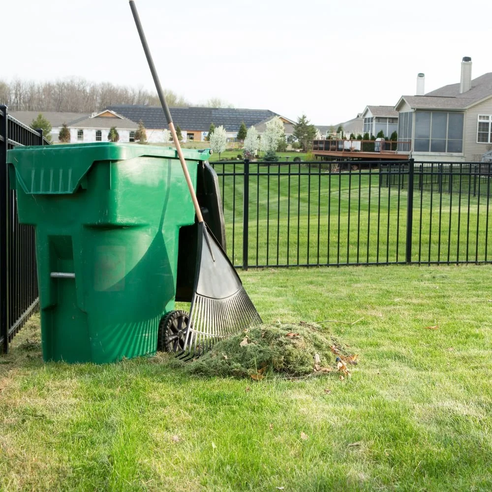A lawnmower on a well-maintained grassy yard with a row of tall evergreen trees in the background, bathed in sunlight.