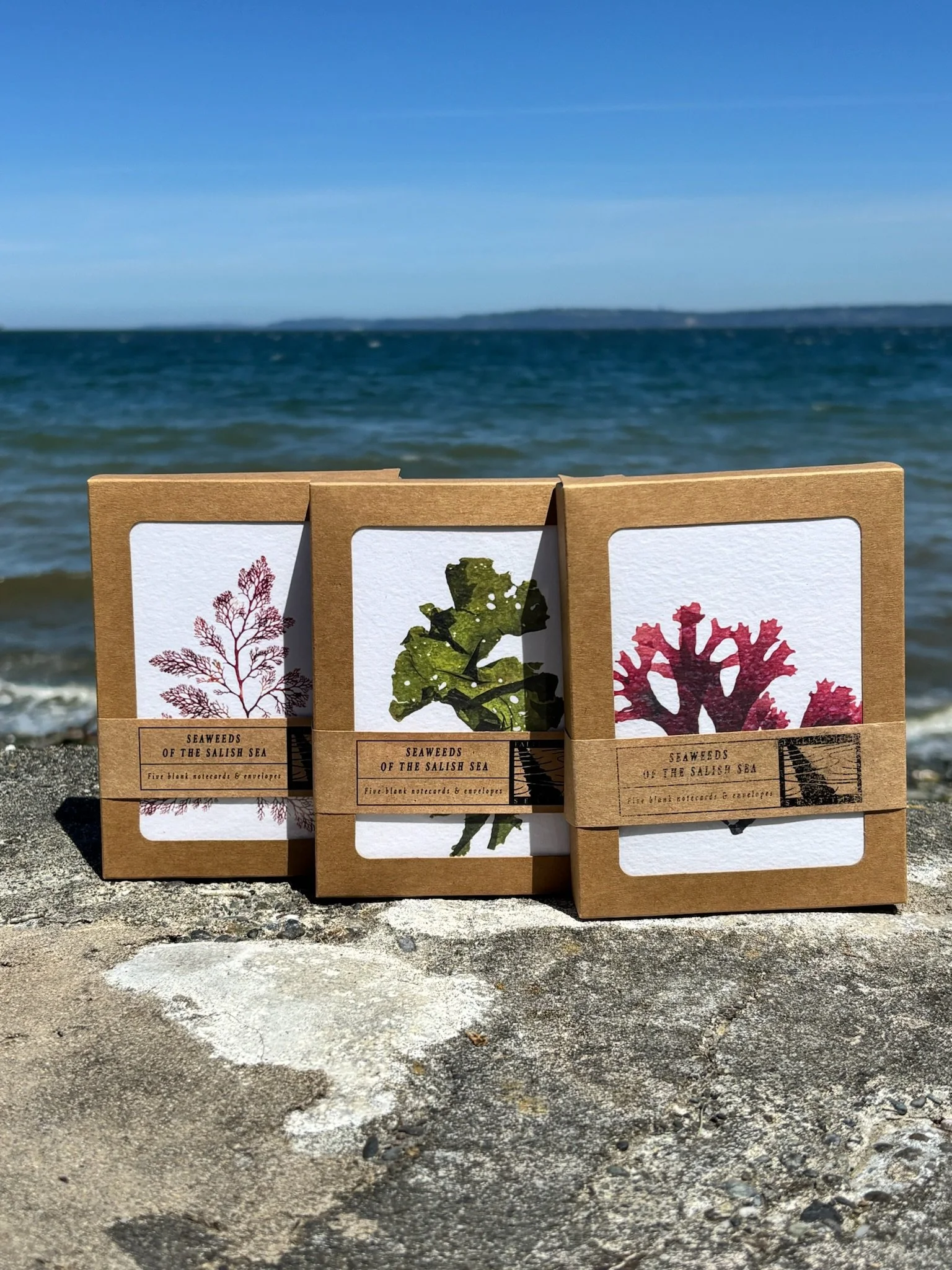 Seaweed Cards