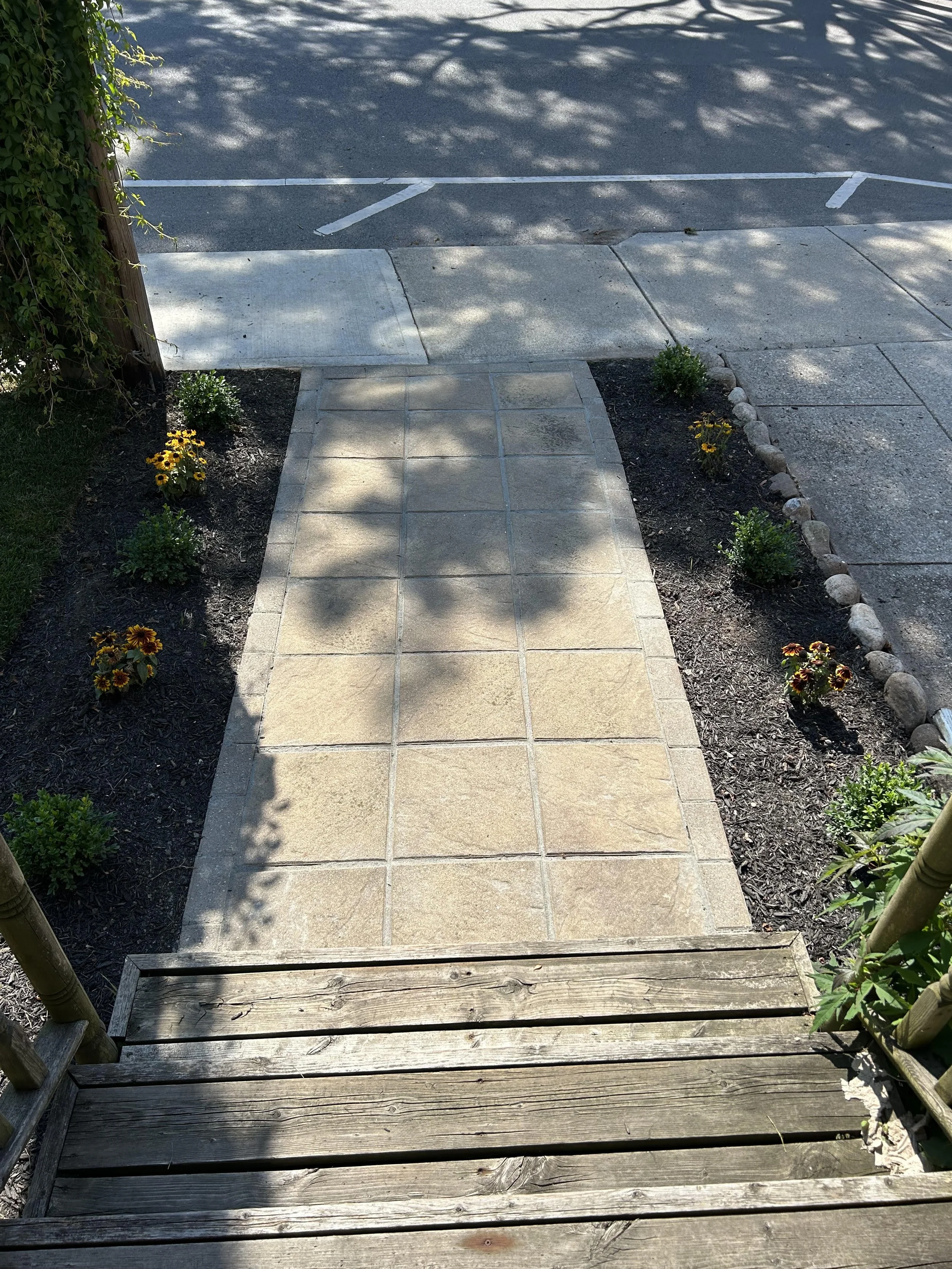 Patio & Walkway Restoration