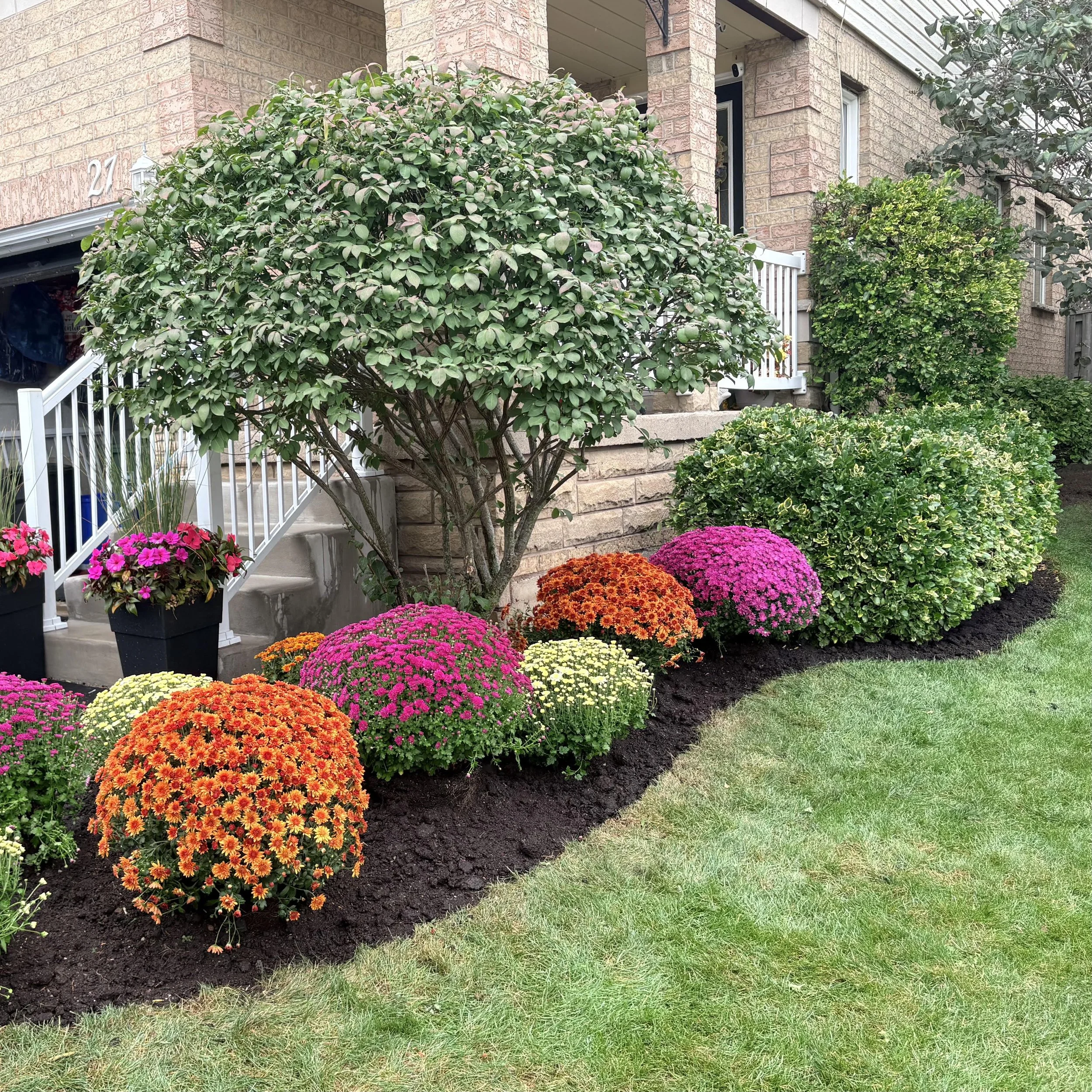 Garden & Lawn Restoration