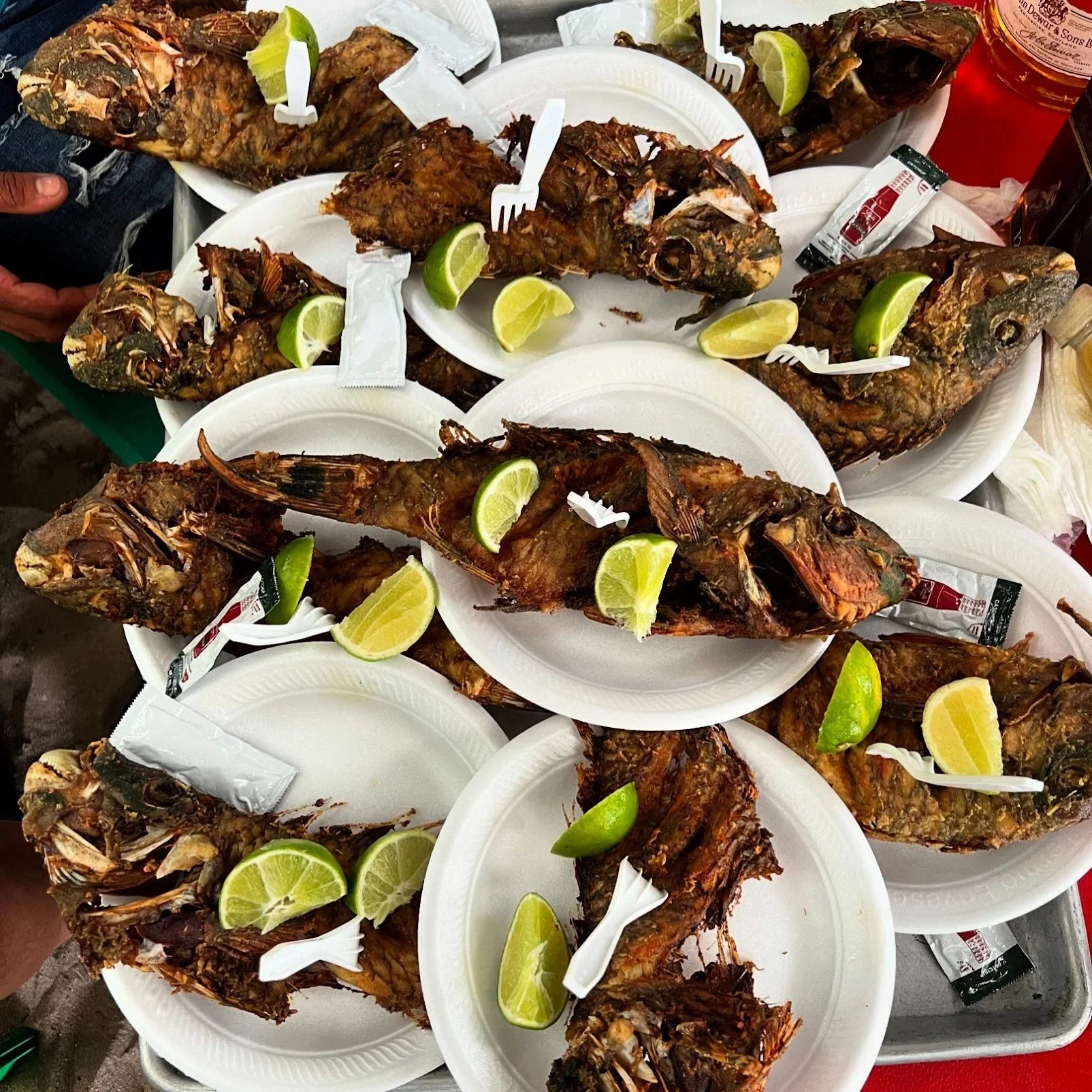 Fried Fish for everyone!