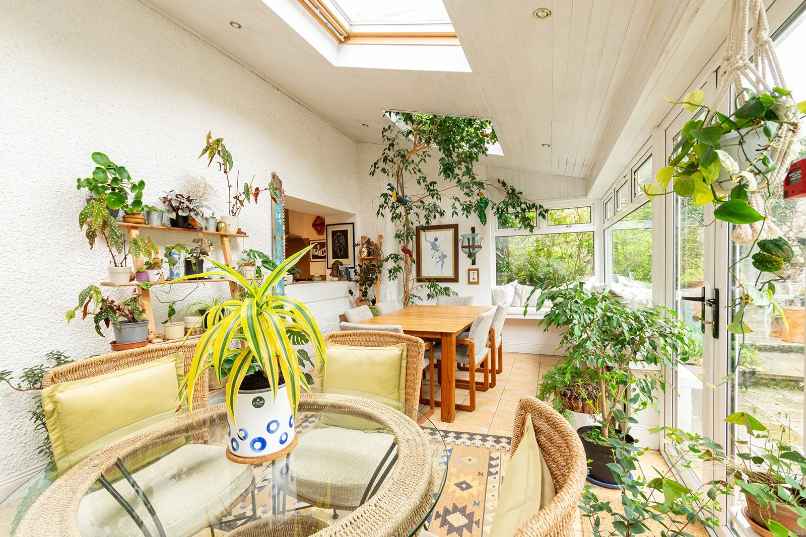 Bright sunroom filled with various green houseplants, a wooden dining table with chairs and a skylight ceiling with windows revealing a garden outside.