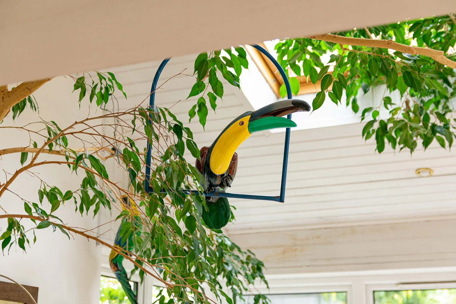 Colorful toucan sculpture hanging among green indoor plants and trees near a ceiling and windows.