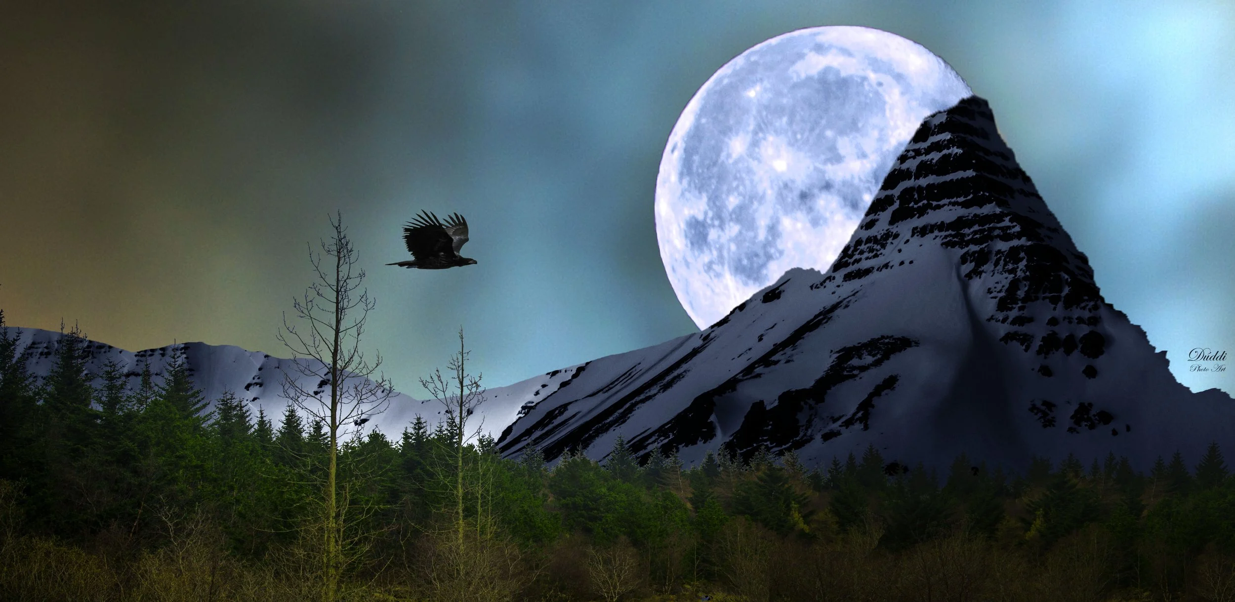 Eagle flying over dramatic landscape in full moon.