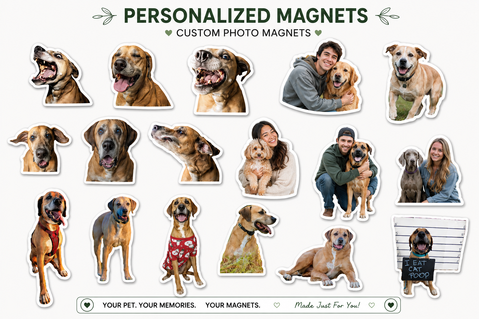 Custom Pet Magnets.png