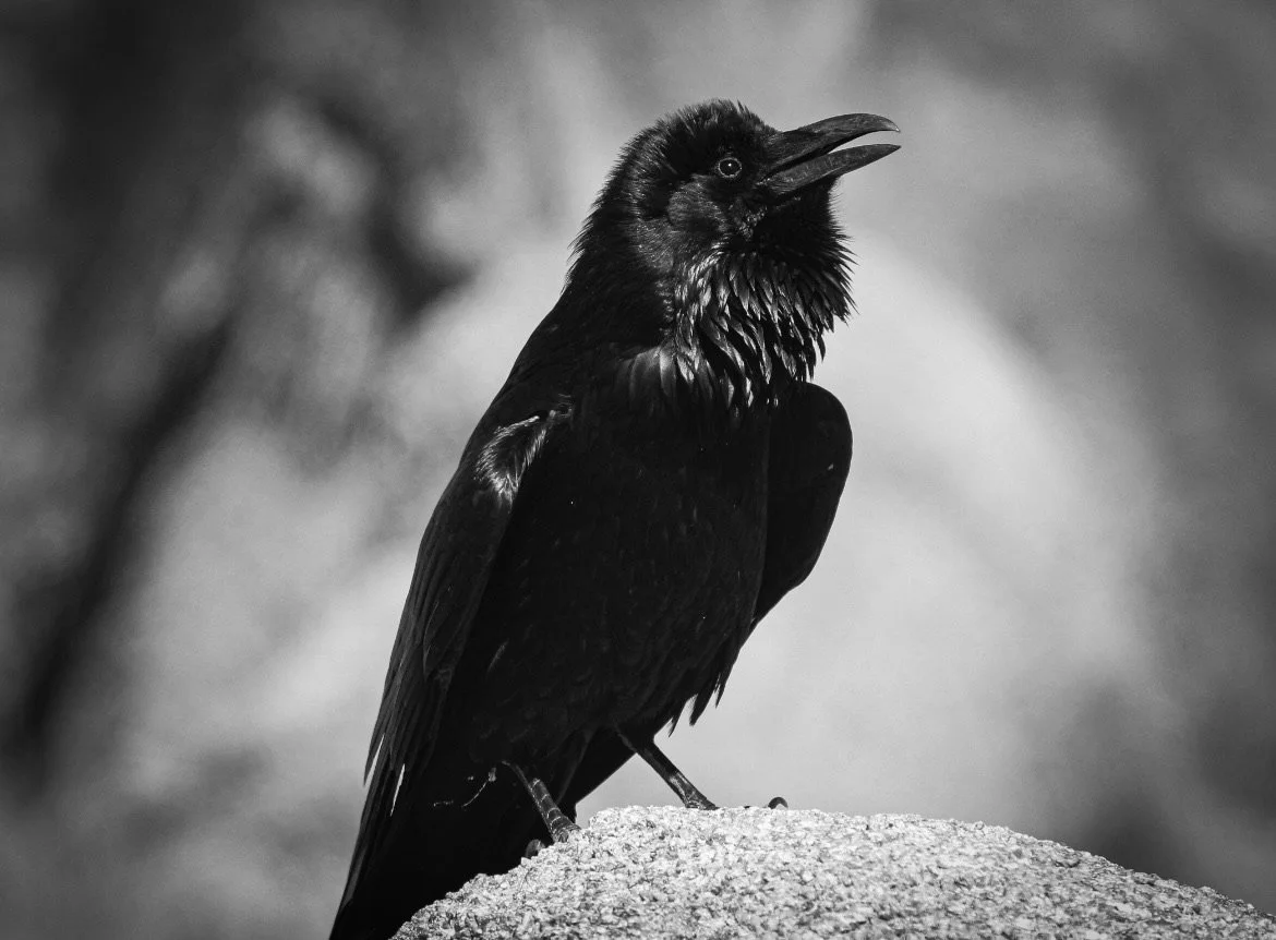 IMG_1885 (1).jpg