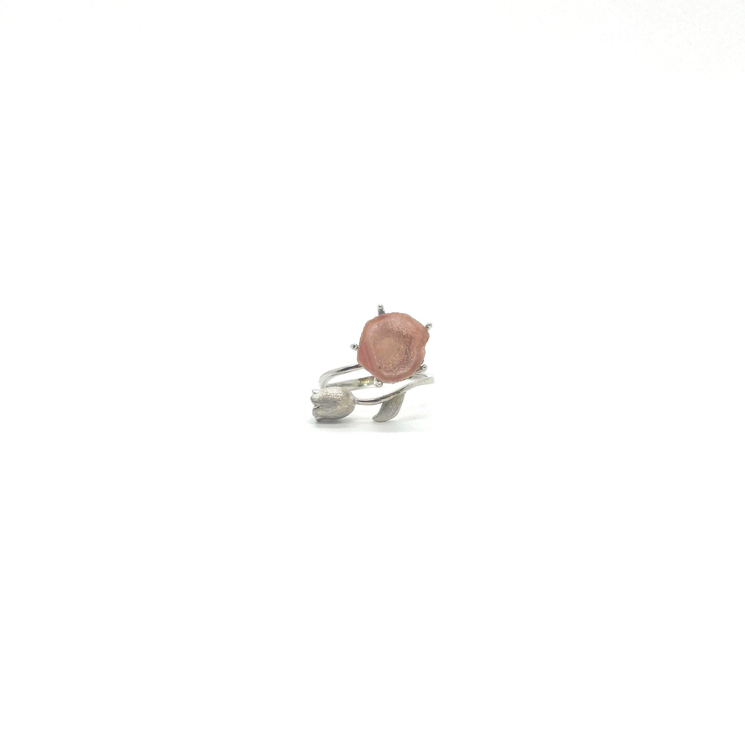 IMG_4388.png
