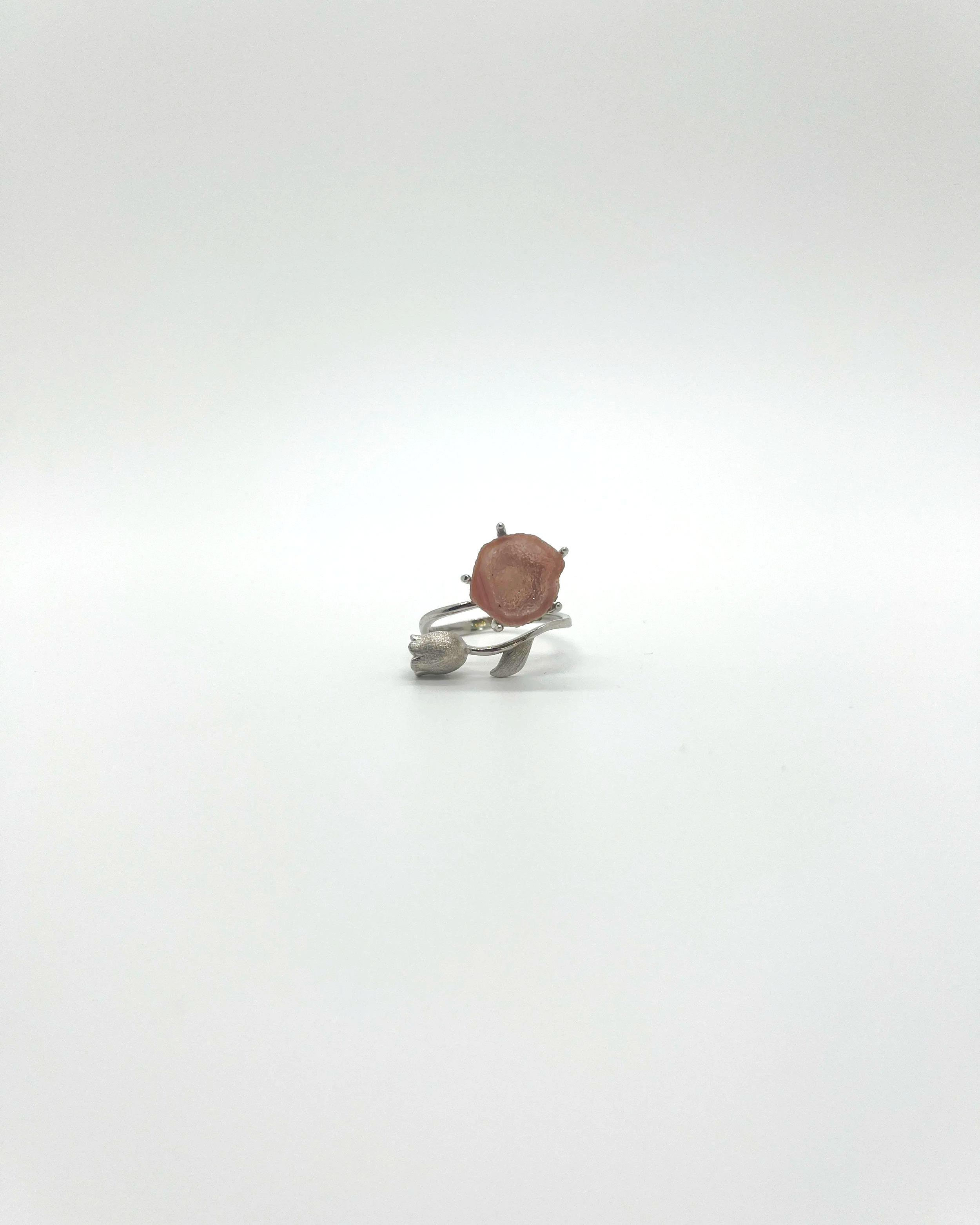 IMG_4388.png