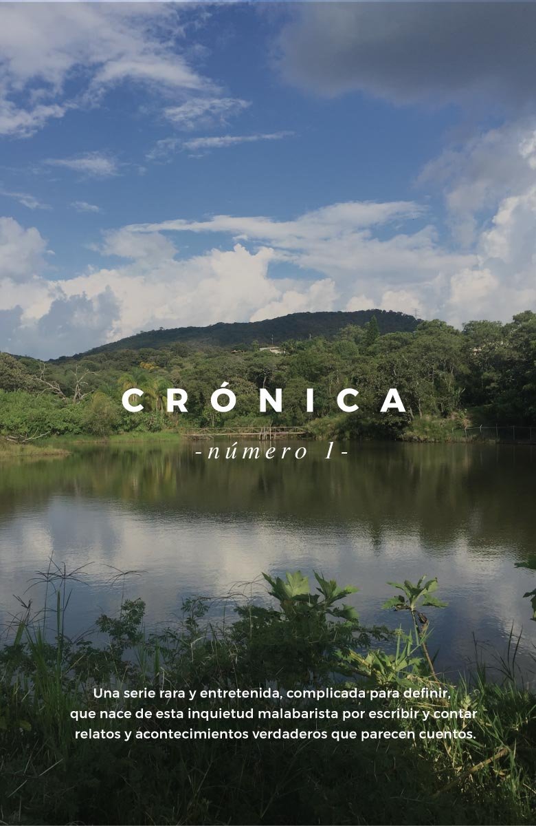 Crónica 1