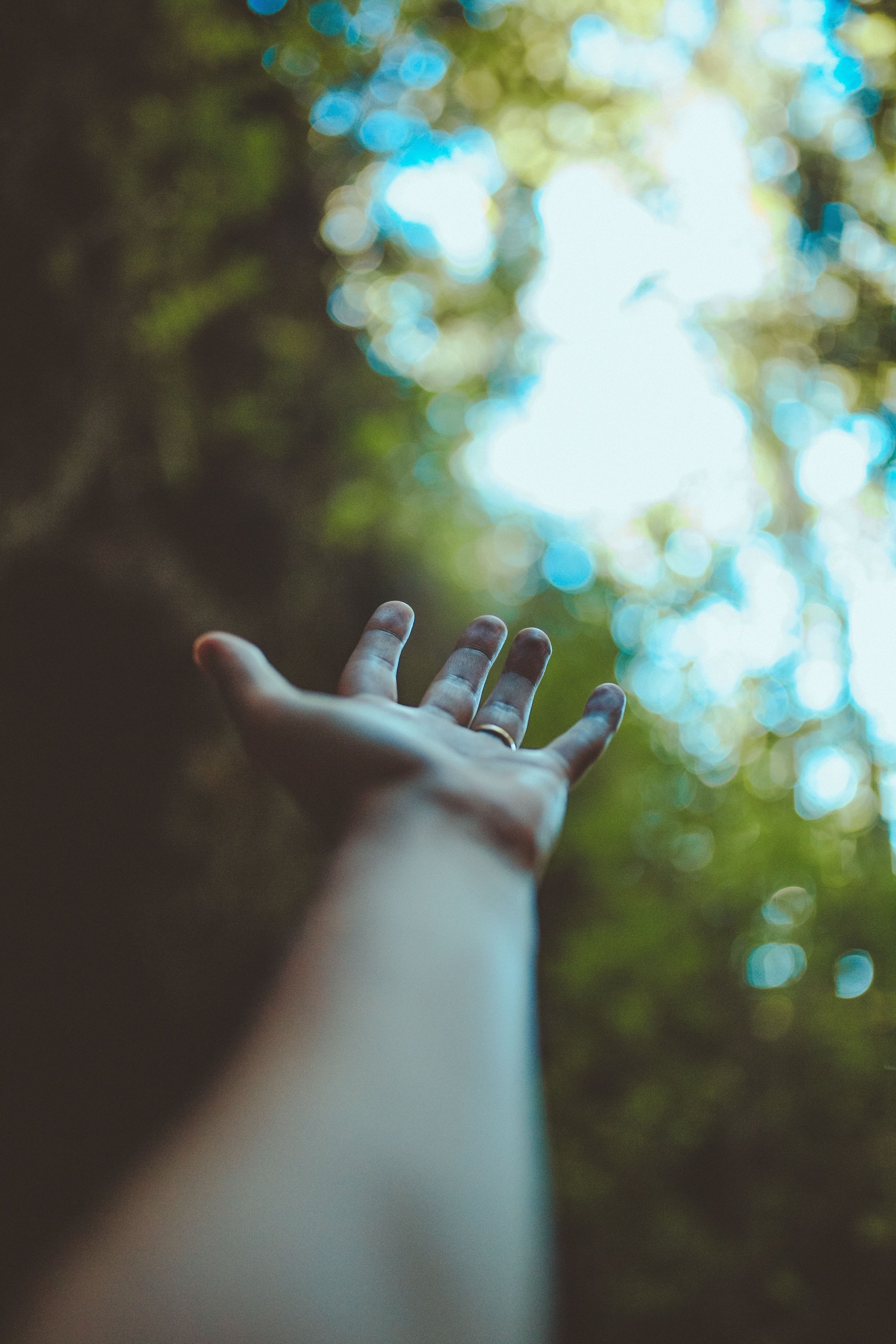 Guided Breathwork Journey