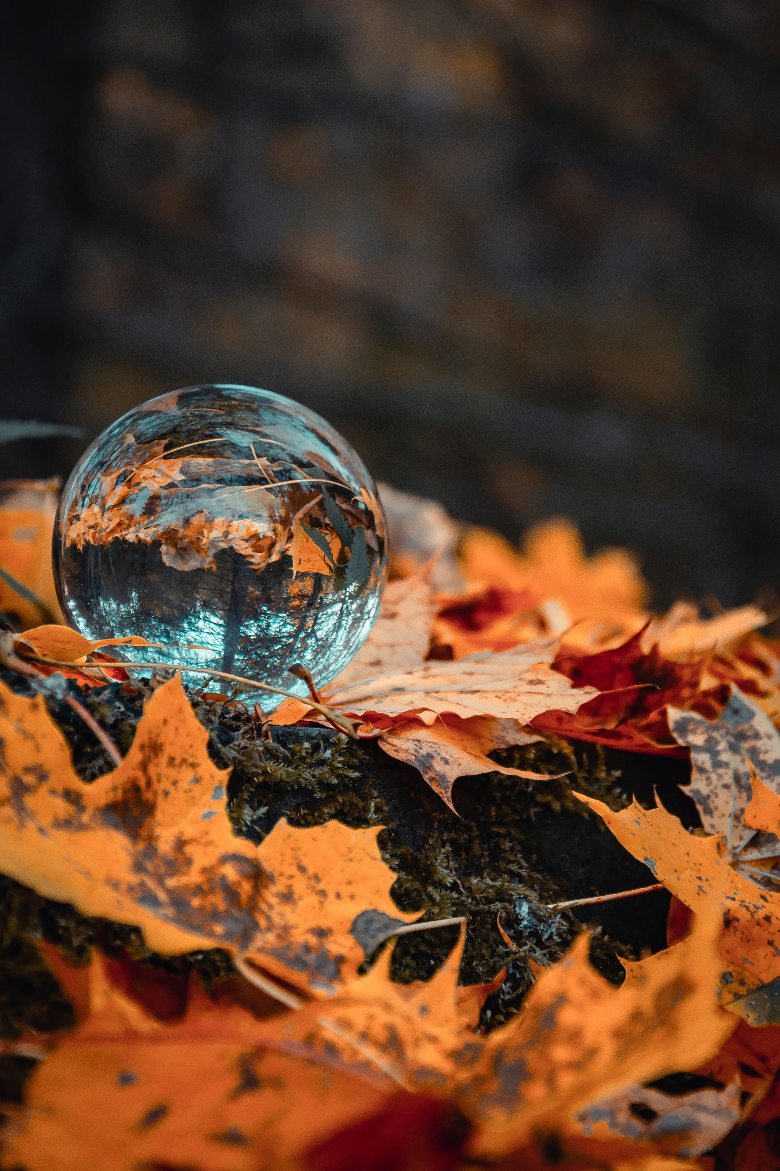 Fall Equinox Breathwork Experience