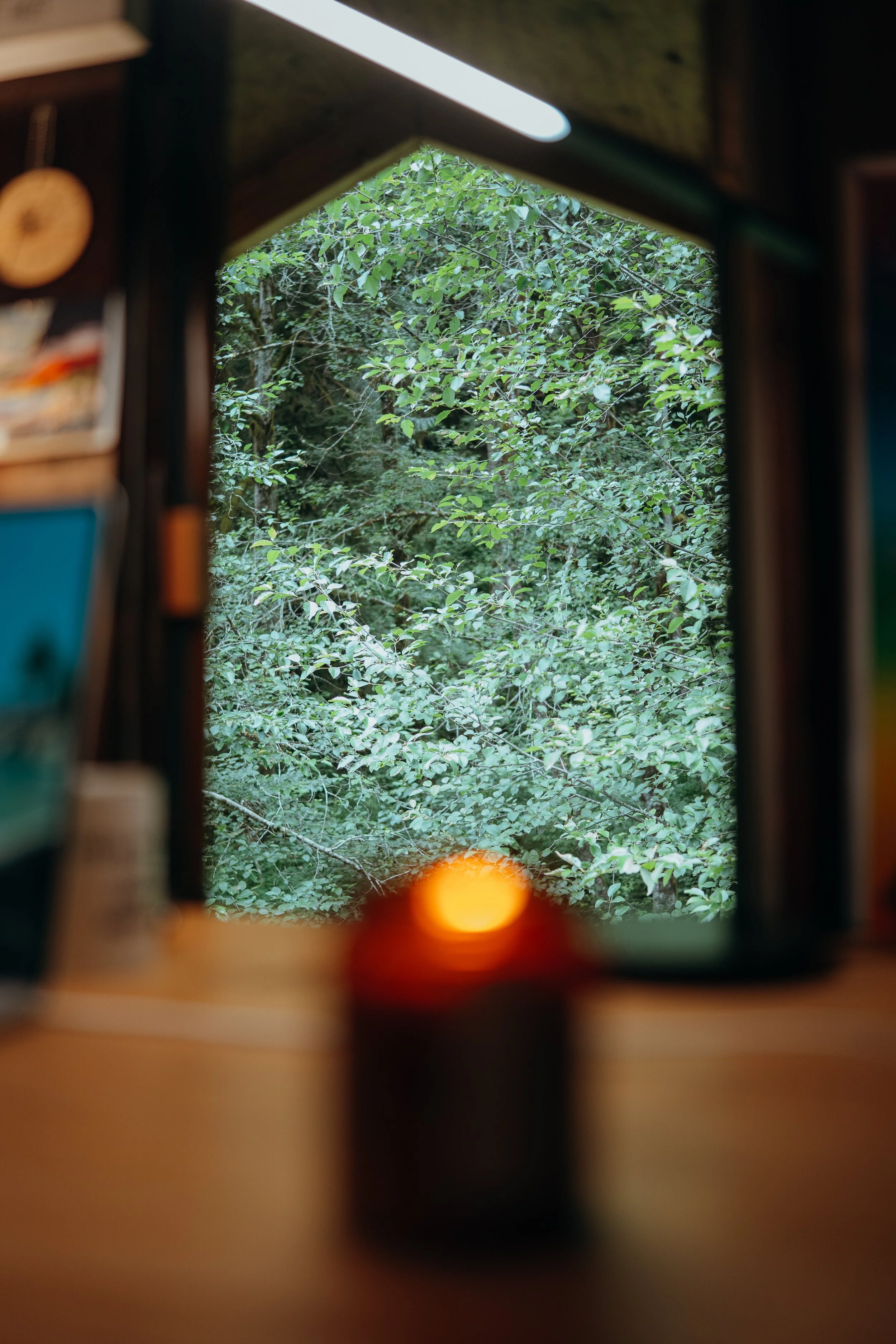 View through a window showing green leaves and tree branches outside, with warm orange and yellow glow from a candle or light source in the foreground.
