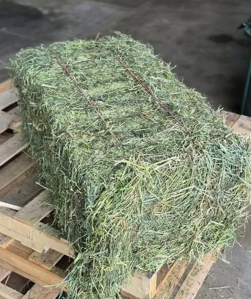 feed photo 3.jpg
