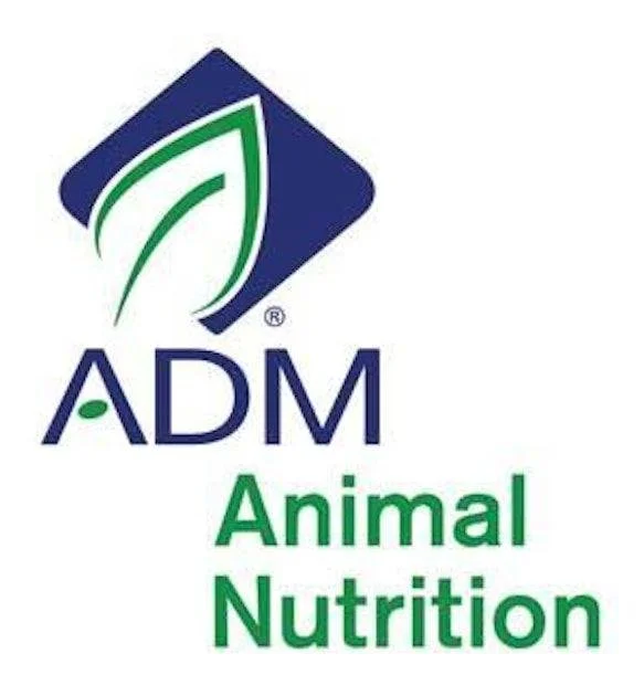 ADM logo webiste.jpg