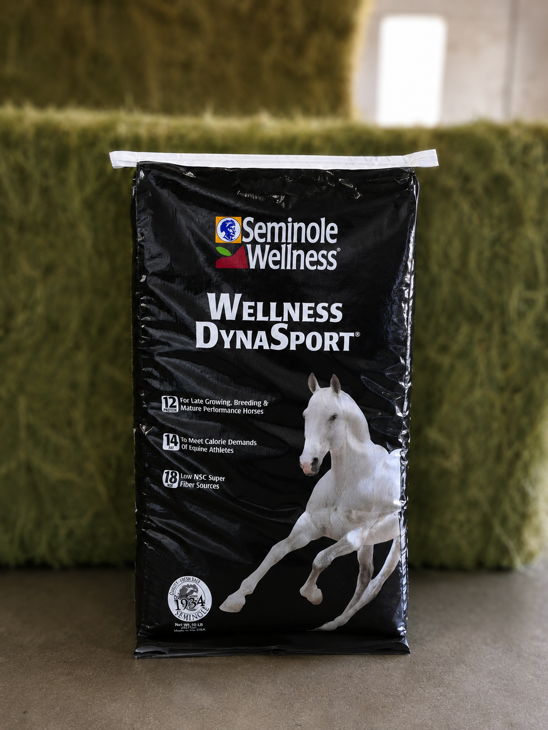 dynasport website.png