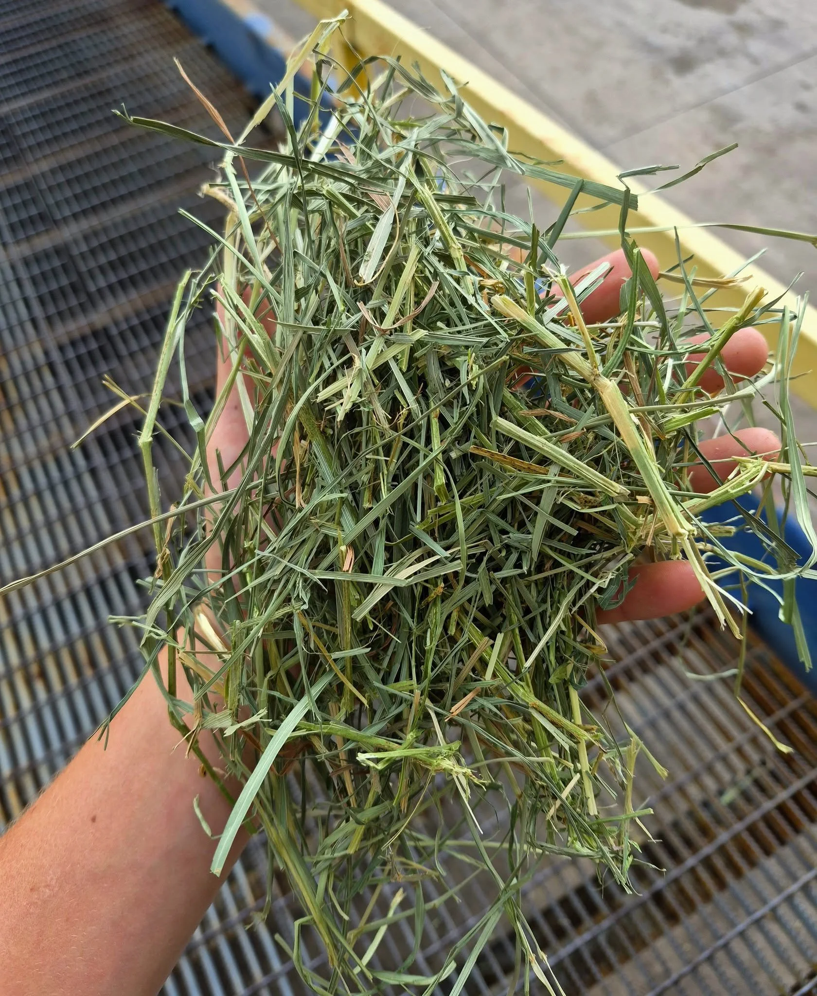 Hay Varieties