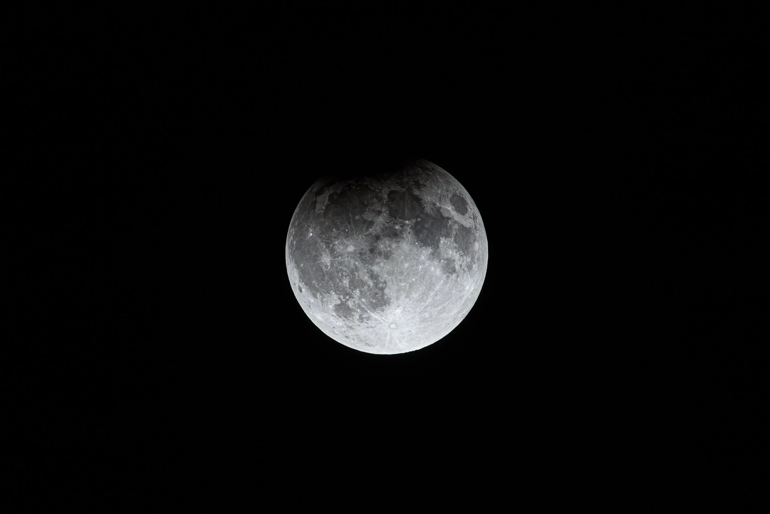 54004003041_4263970141_o.jpg