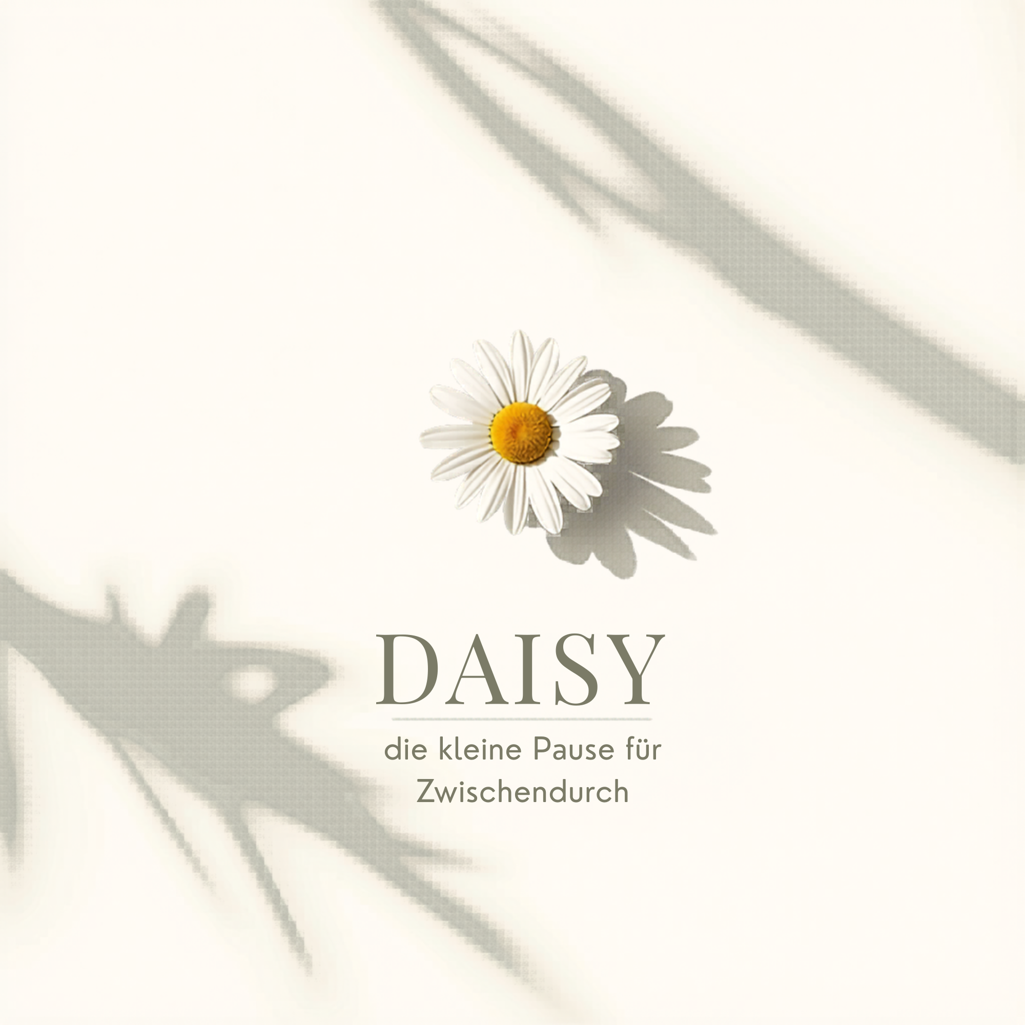 Daisy - Die kleine Pause für Zwischendurch