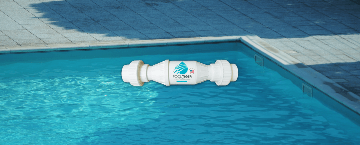 interior-pooltiger.png
