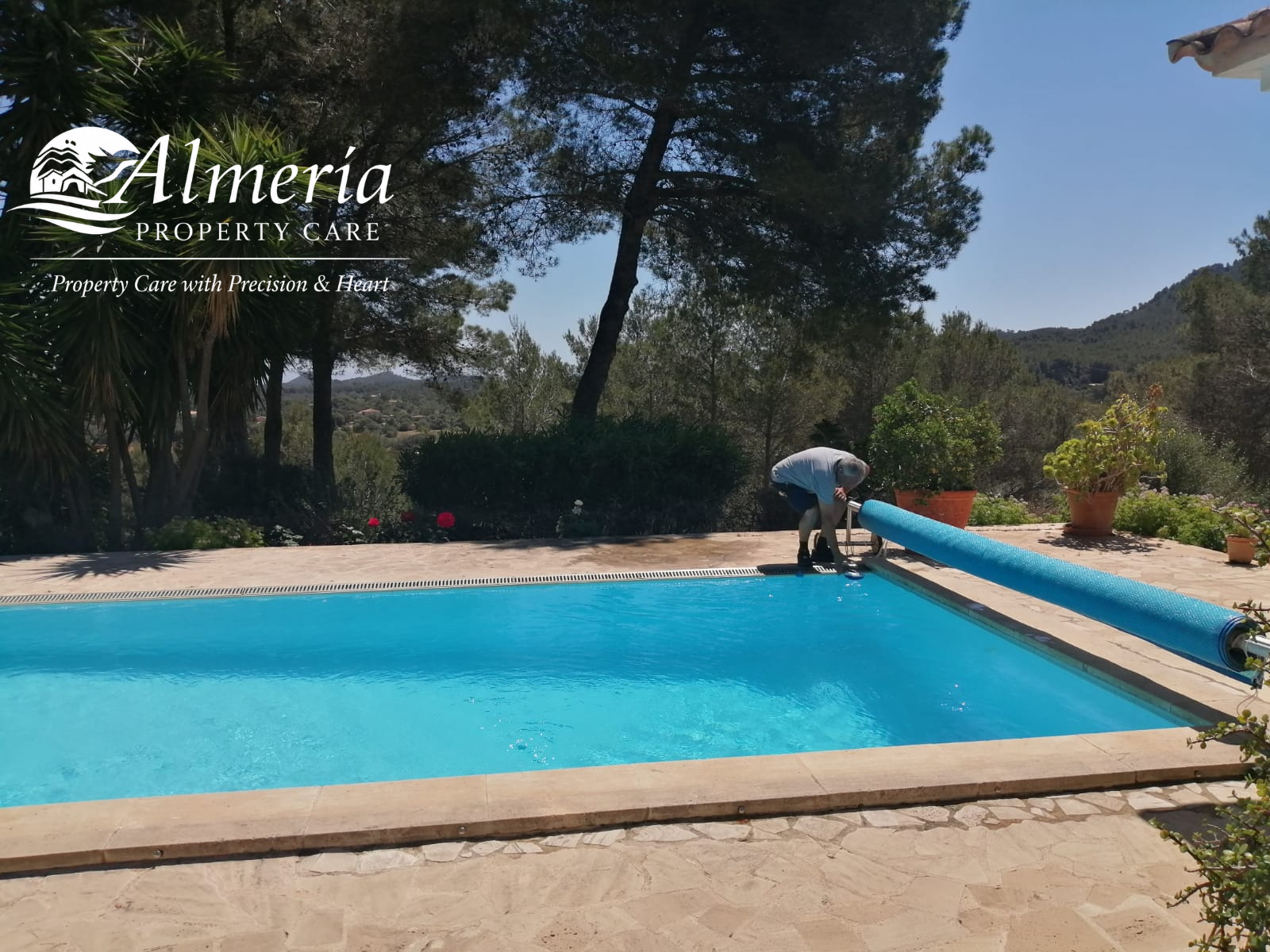 Pool-Cover.png