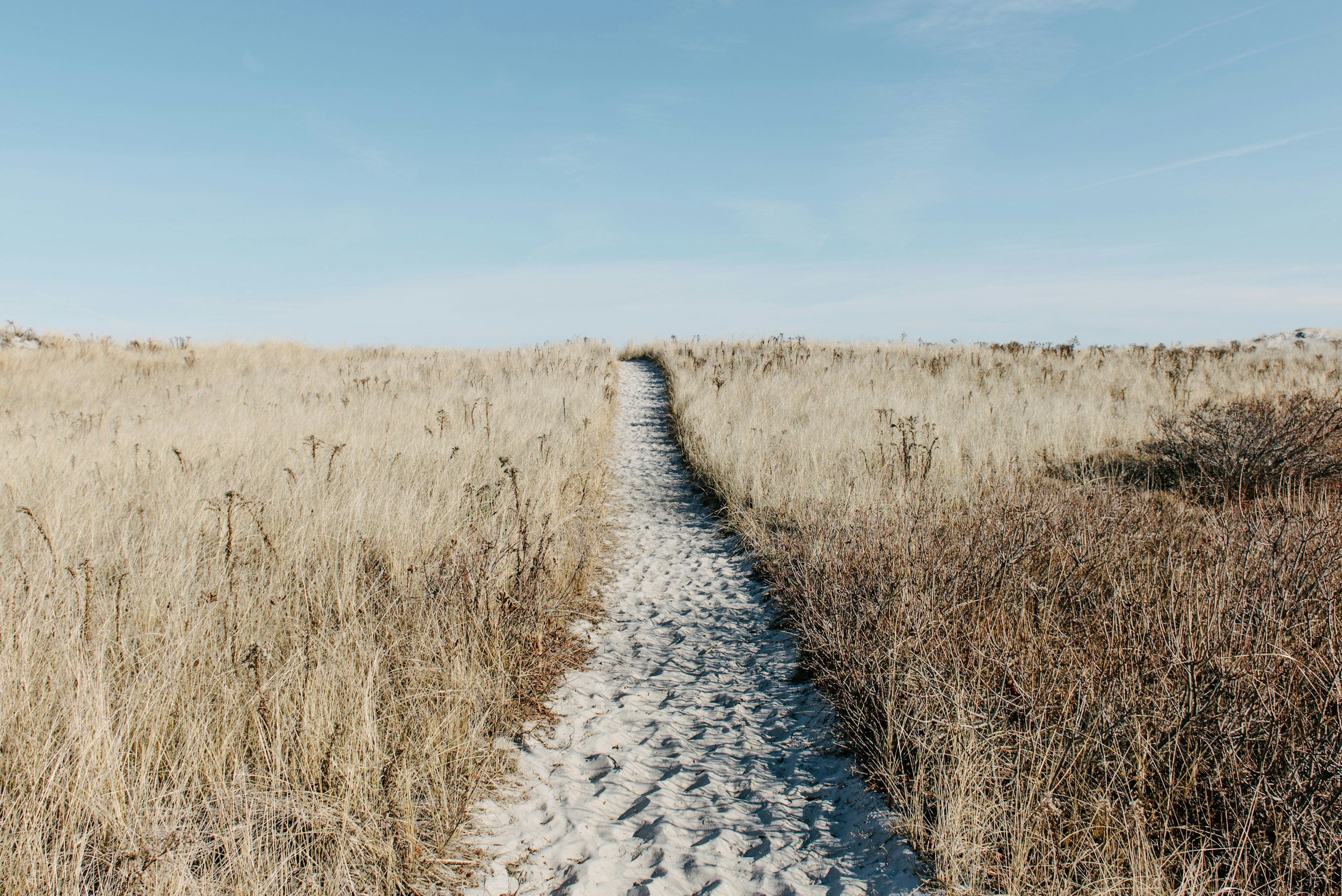 A sandy path runs through tall, dry grass in a rural landscape under a blue sky with wispy clouds.