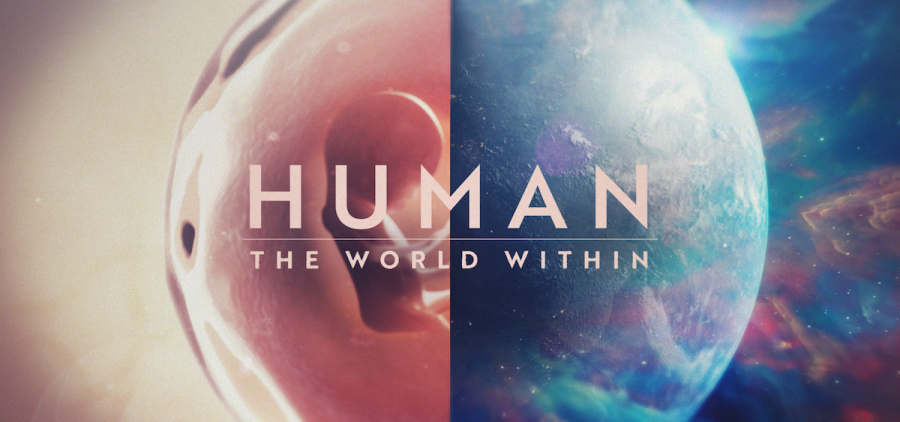 Human: The World Within