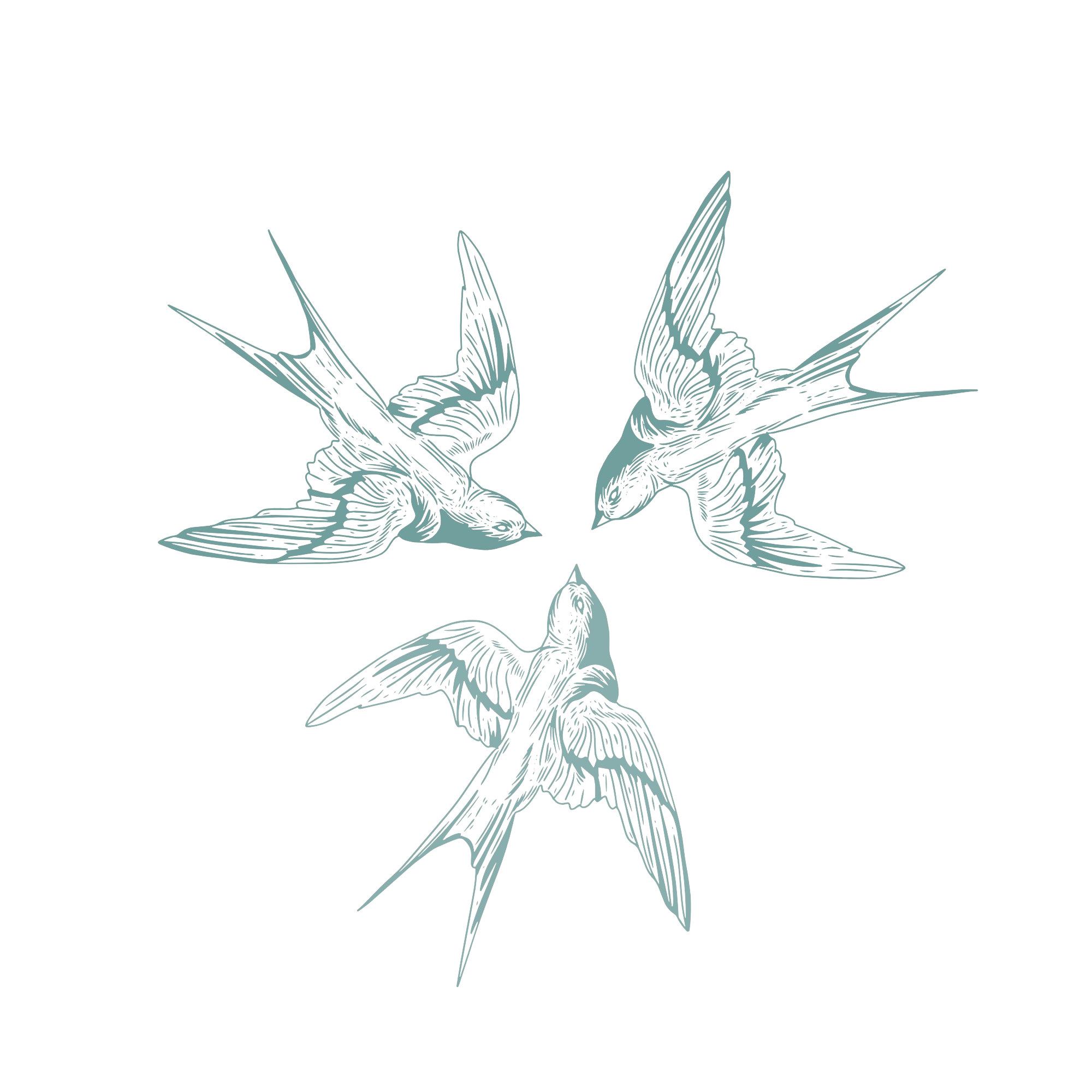 Line drawing of three flying birds with outstretched wings, facing different directions, on a black background.