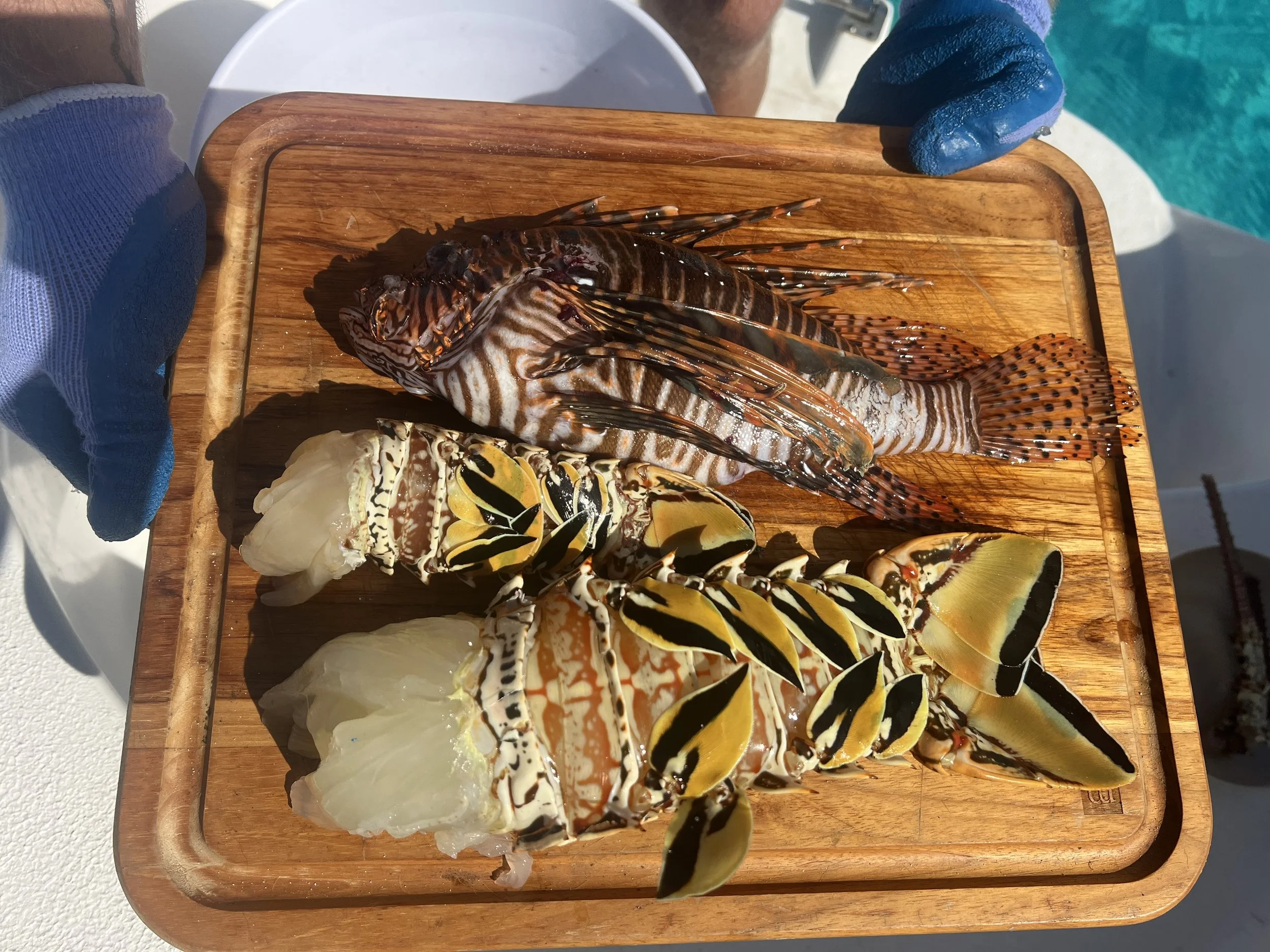 Assorted raw fish and seafood including a lionfish on a wooden cutting board at a market or dock.