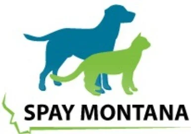 Spay/Neuter Clinic Day 1 of 2