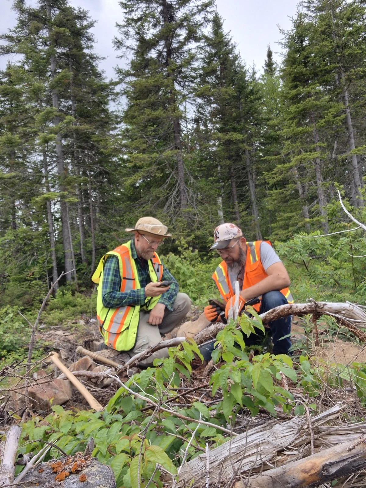 Gold Till Survey, Prospecting and Drilling Management - Gaspésie, Québec