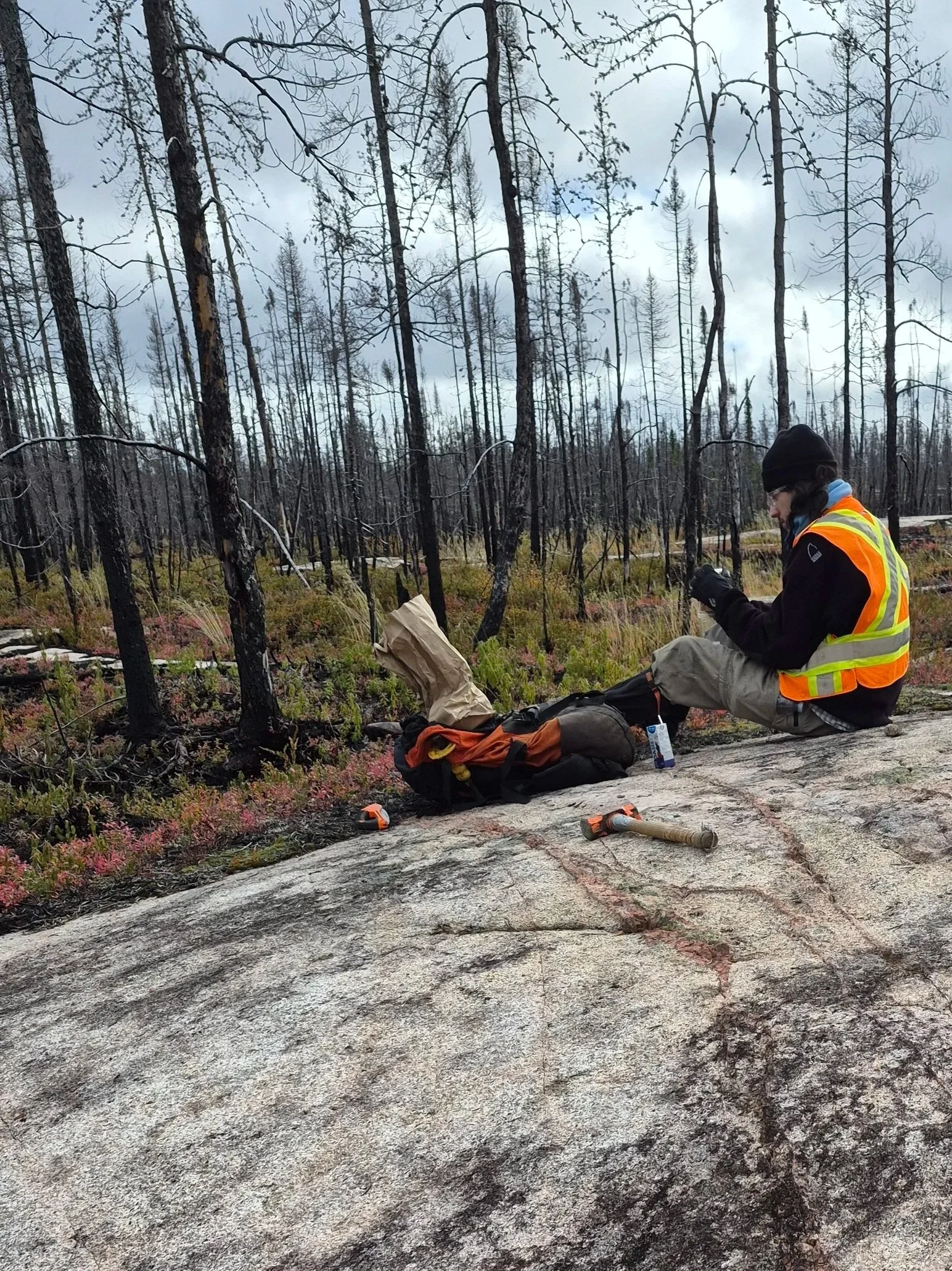 Lithium &amp; Nickel-Copper Project Support - Eeyou Istchee James Bay, Québec
