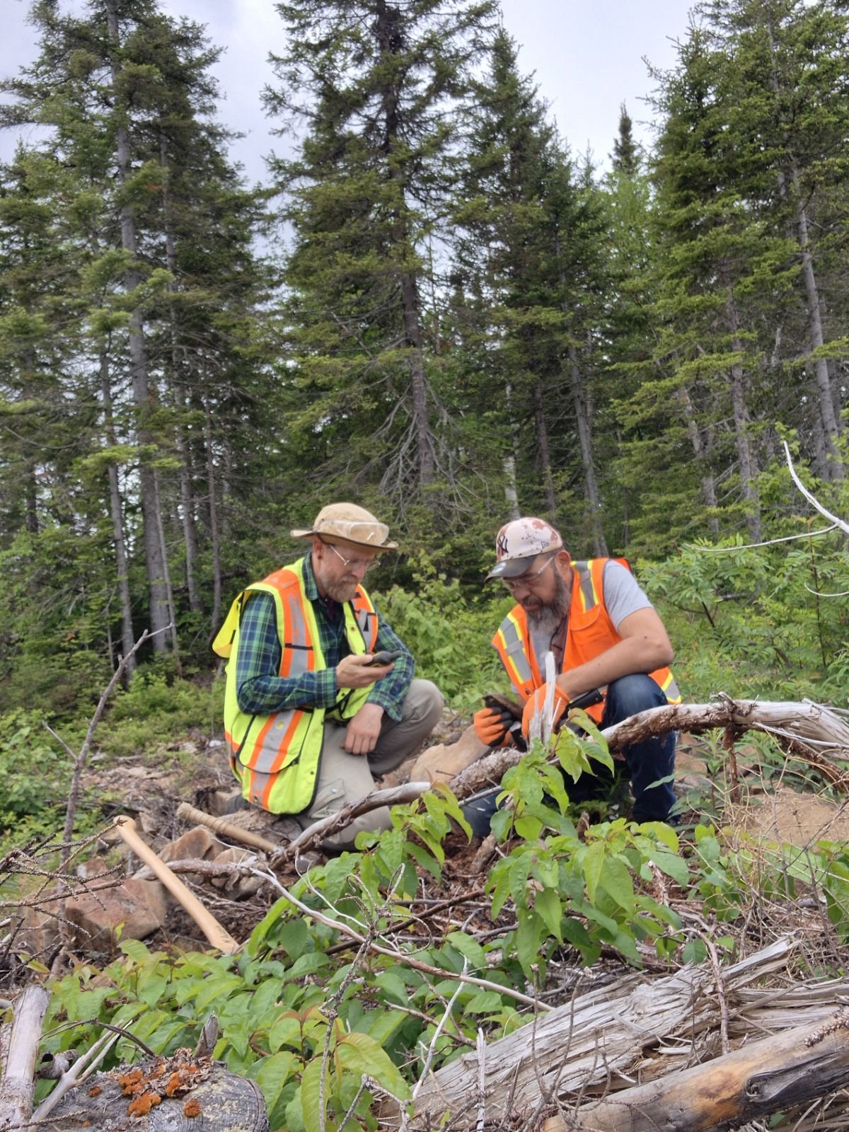 Levé de till aurifère, prospection et gestion de forages - Gaspésie, Québec