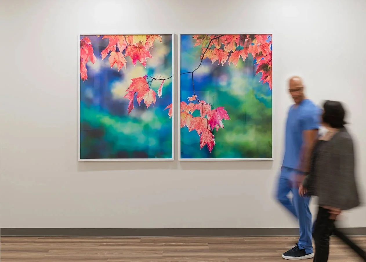 Two framed photographs of autumn leaves hanging on a white gallery wall, with blurred visitors walking past.