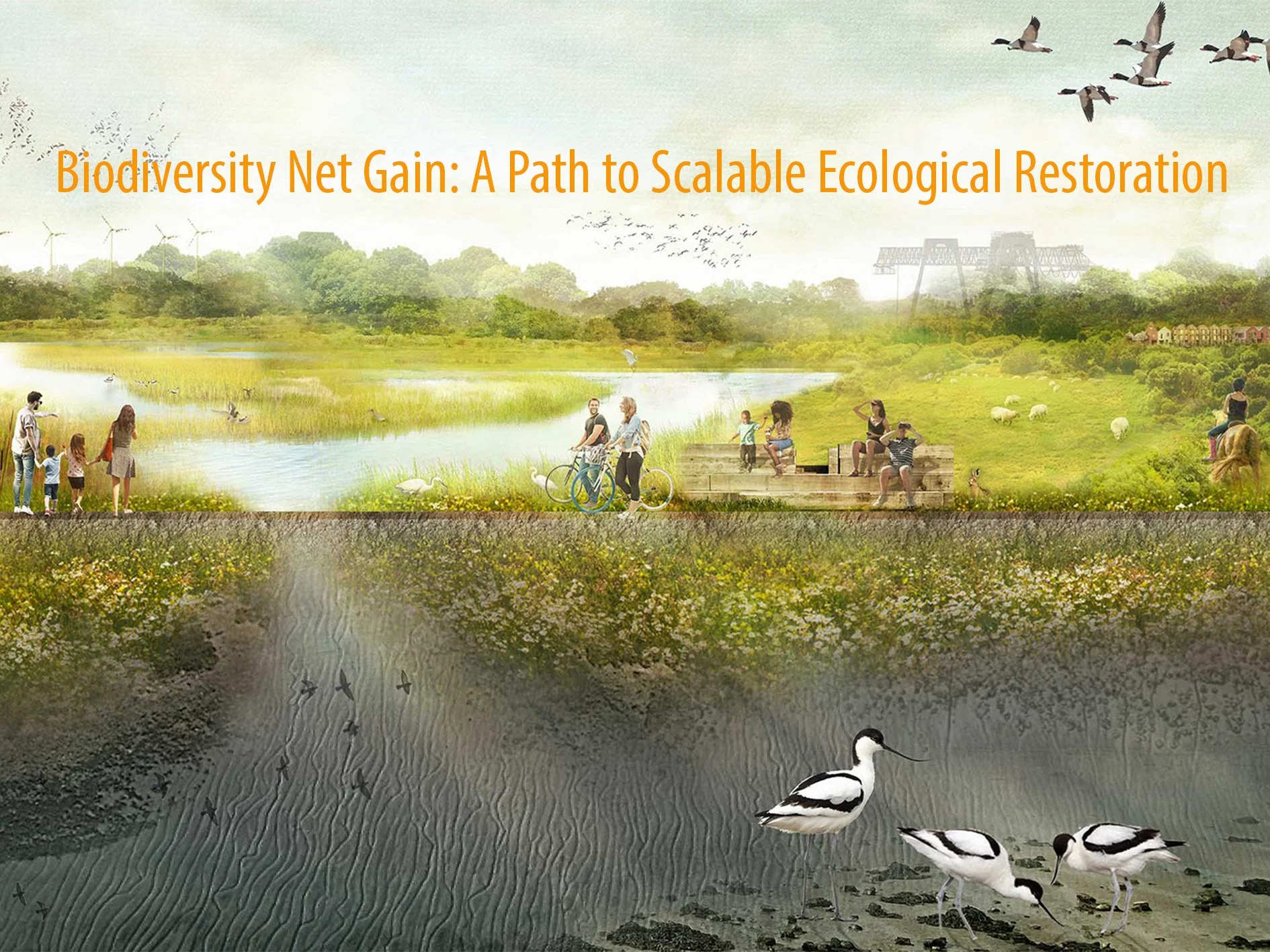 In this CSLA webinar, Alexandra Steed explores Biodiversity Net Gain as a framework for ecological restoration and how it will help repair our relationship with the living world.