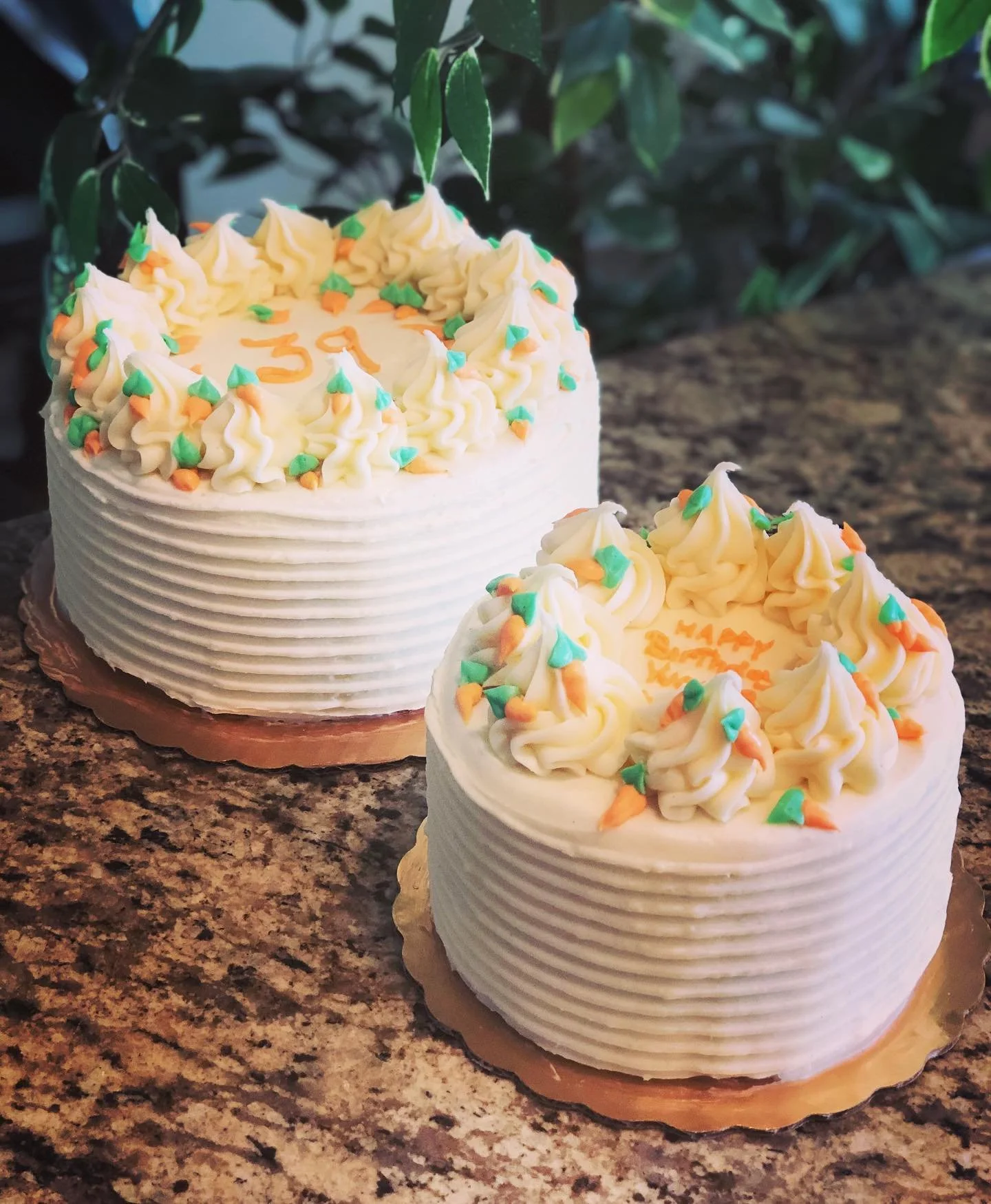 Two decorated birthday cakes on a kitchen countertop, one larger and one smaller, with white frosting, colorful sprinkles, and written messages, surrounded by green foliage.