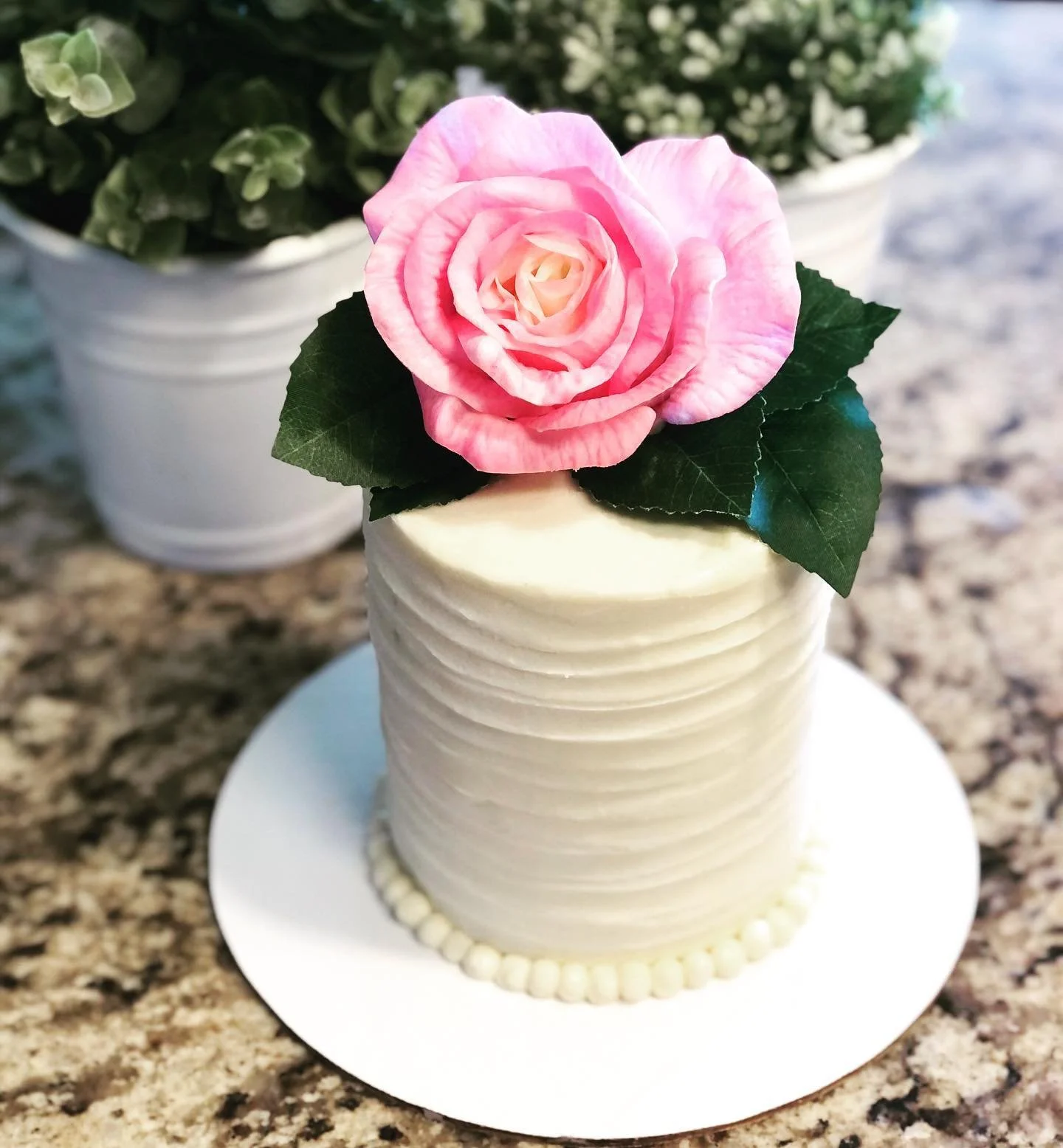 A white tiered cake decorated with a pink and white artificial rose on top, with dark green leaves surrounding the rose, placed on a white cake board, with a background of other potted plants.