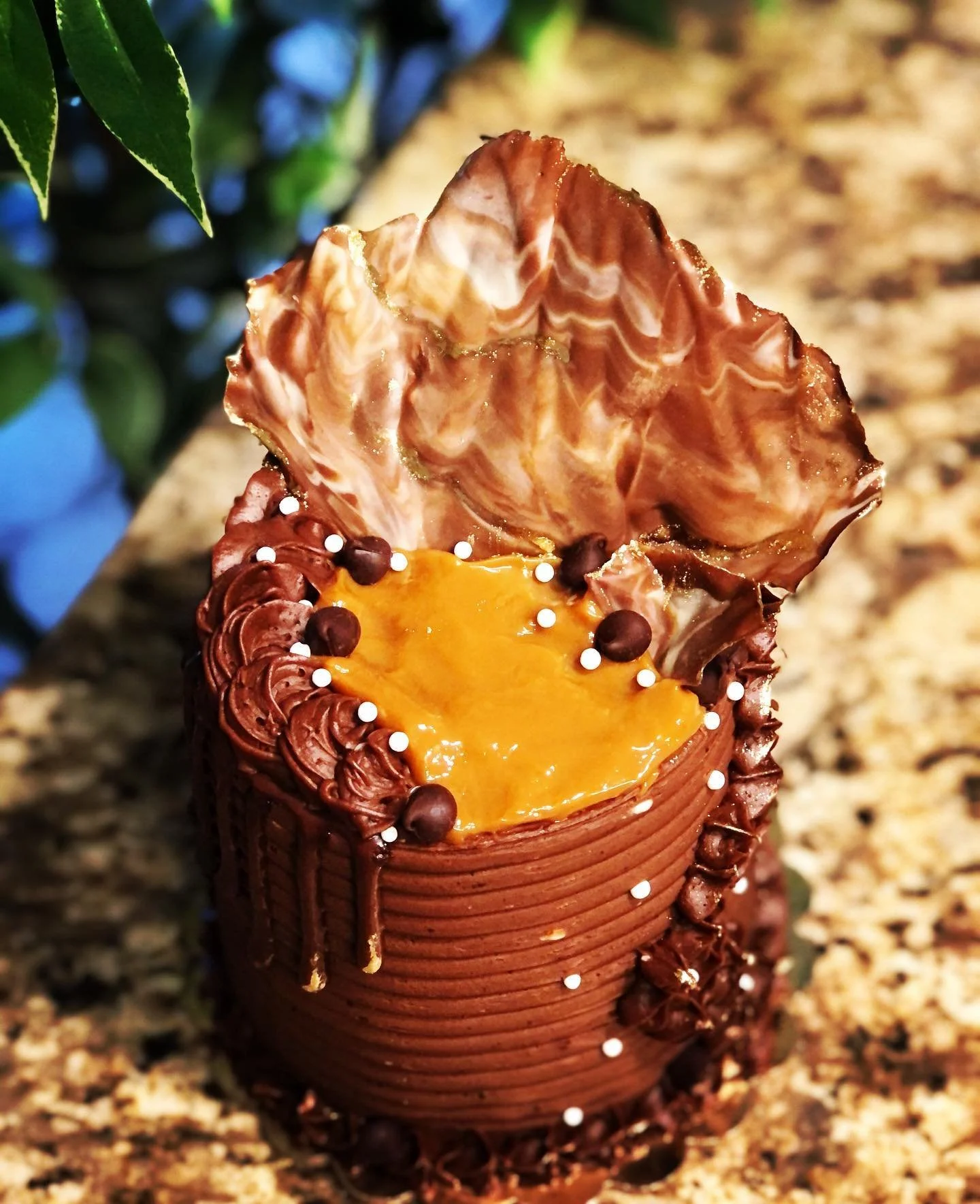 A dessert with chocolate frosting and yellow filling, decorated with white and dark sprinkles, placed in a textured, chocolate-colored container.