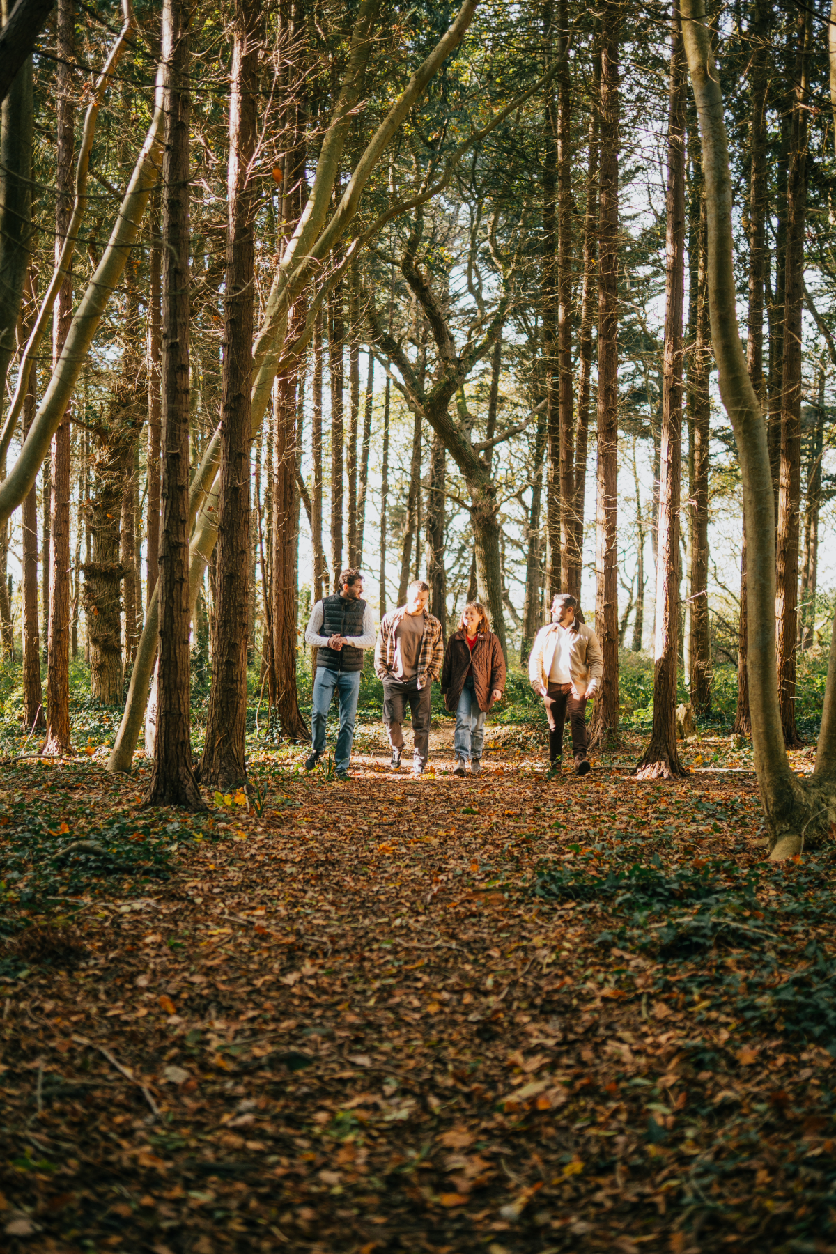 Four people walking through a forest with tall trees and fallen leaves on the ground.